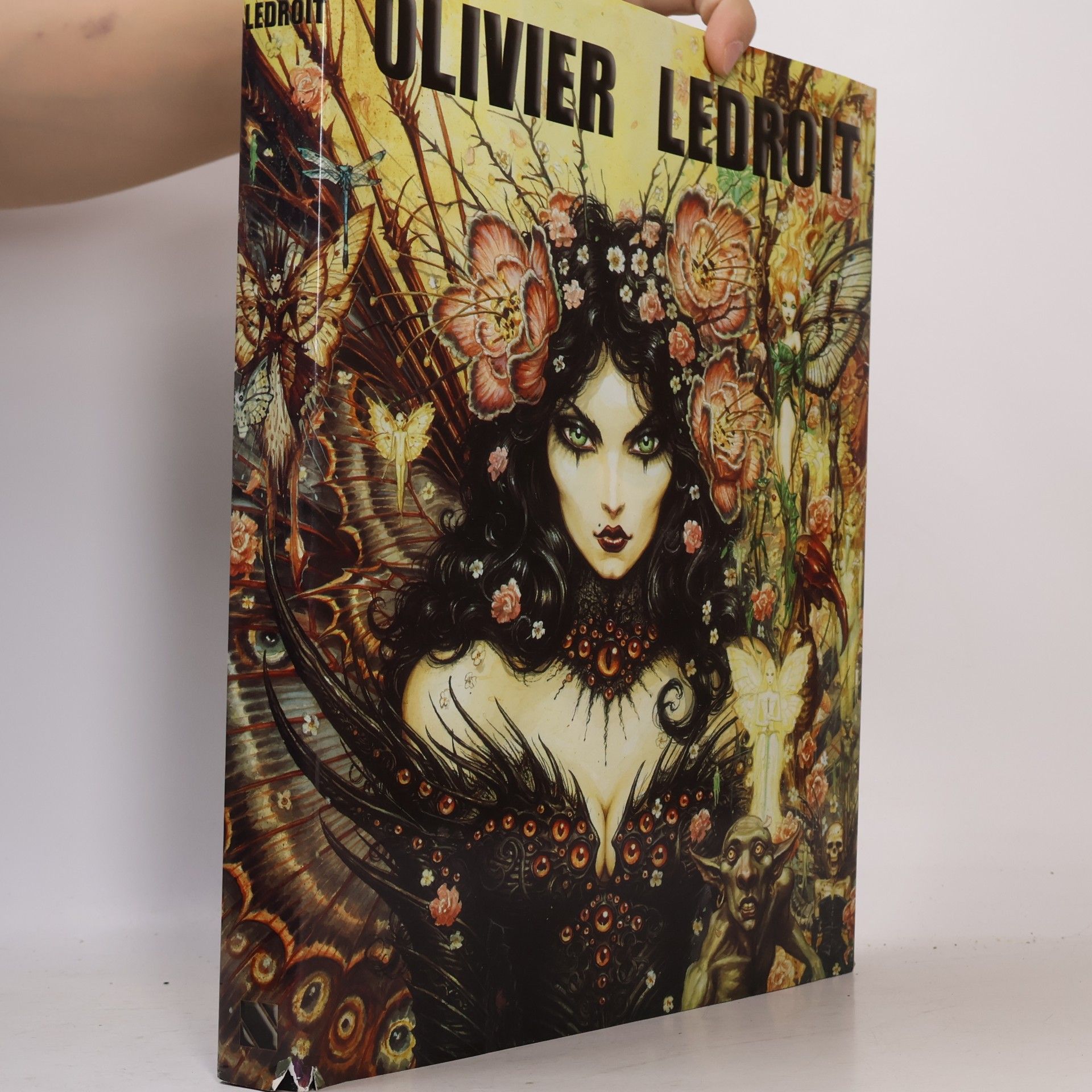 Olivier Ledroit Olivier Ledroit