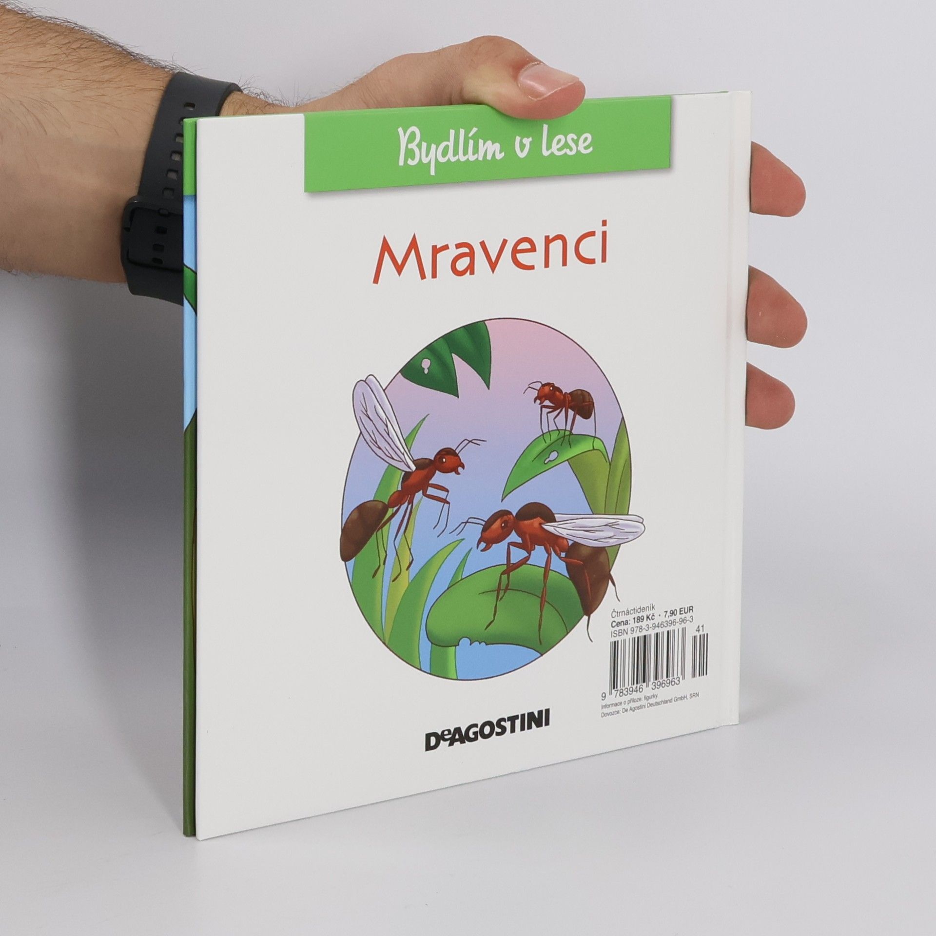 Autorenkollektiv Bydlím v lese 30. Mravenci