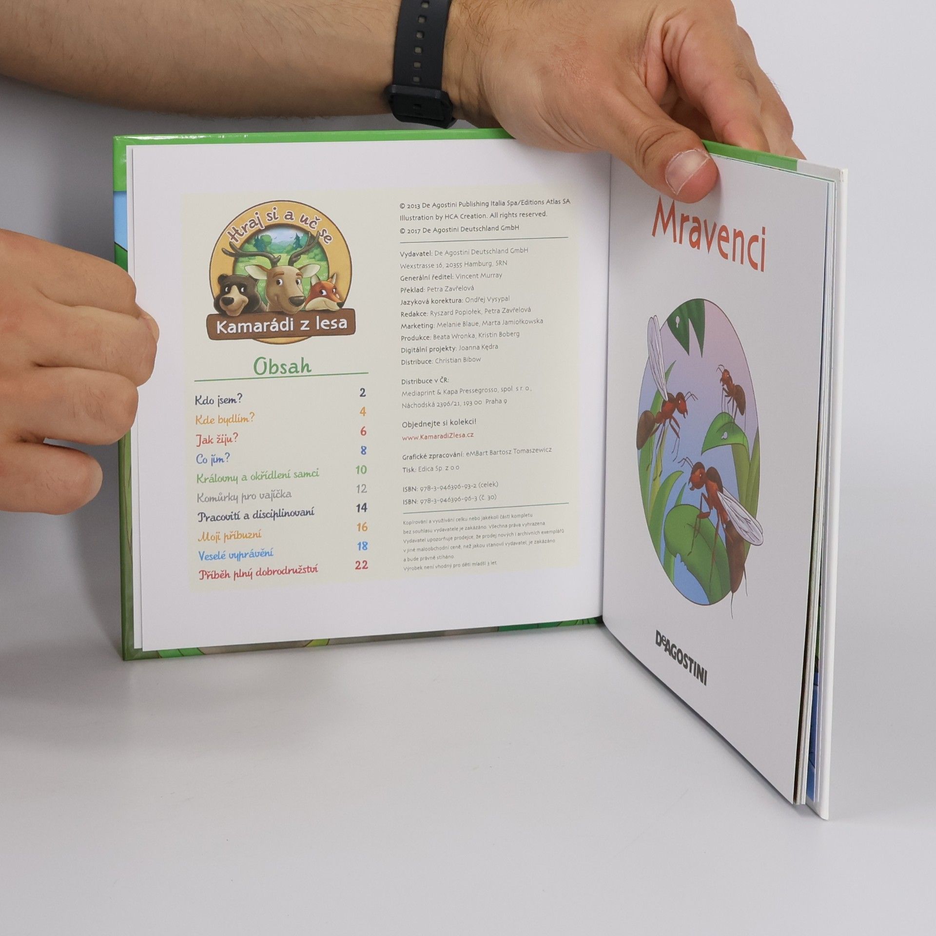Autorenkollektiv Bydlím v lese 30. Mravenci