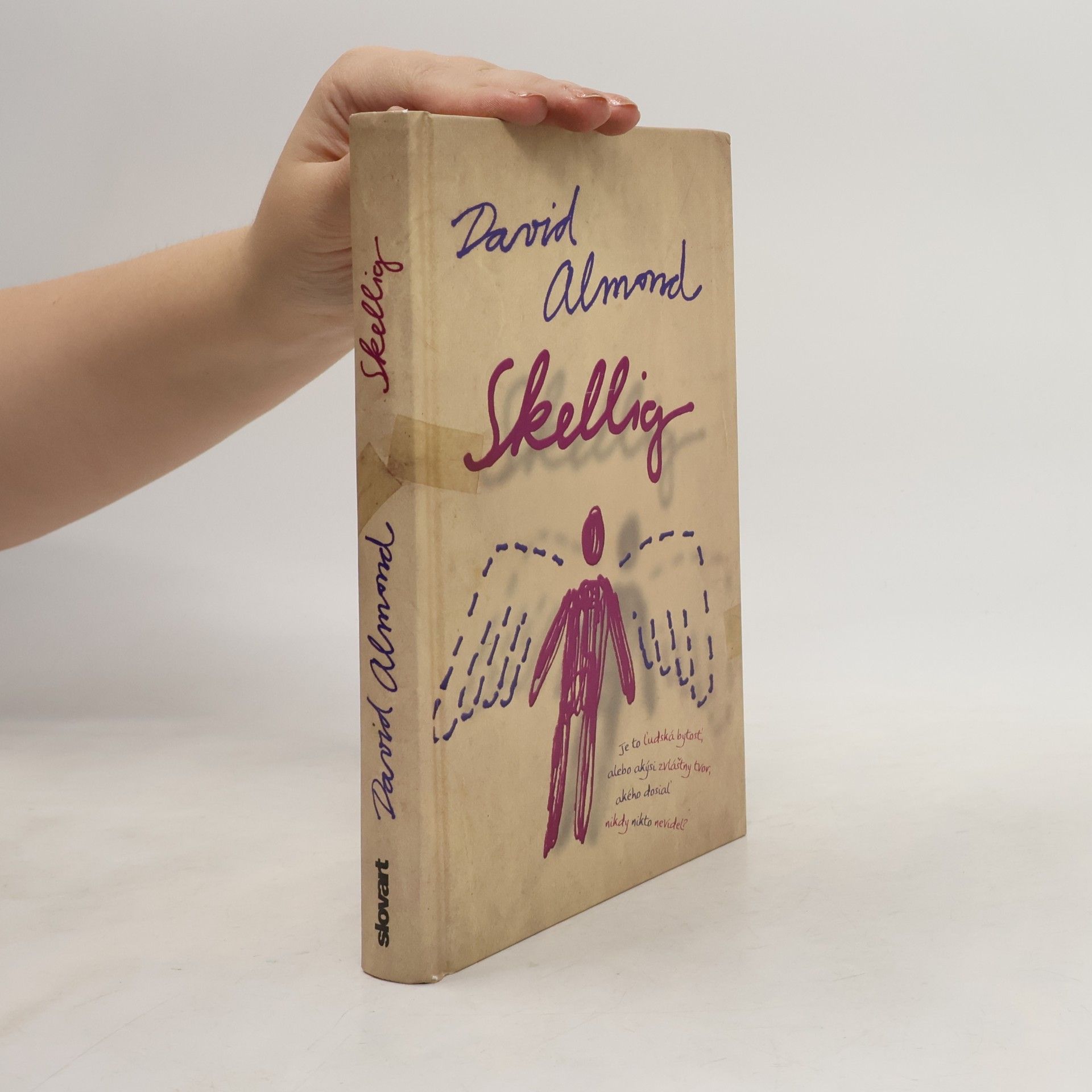 David Almond Skellig