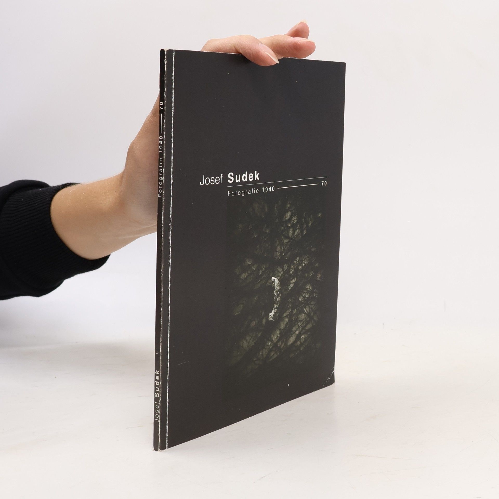 Josef Sudek. Fotografie 1940-70. Z fotografické sbírky Moravské galerie
