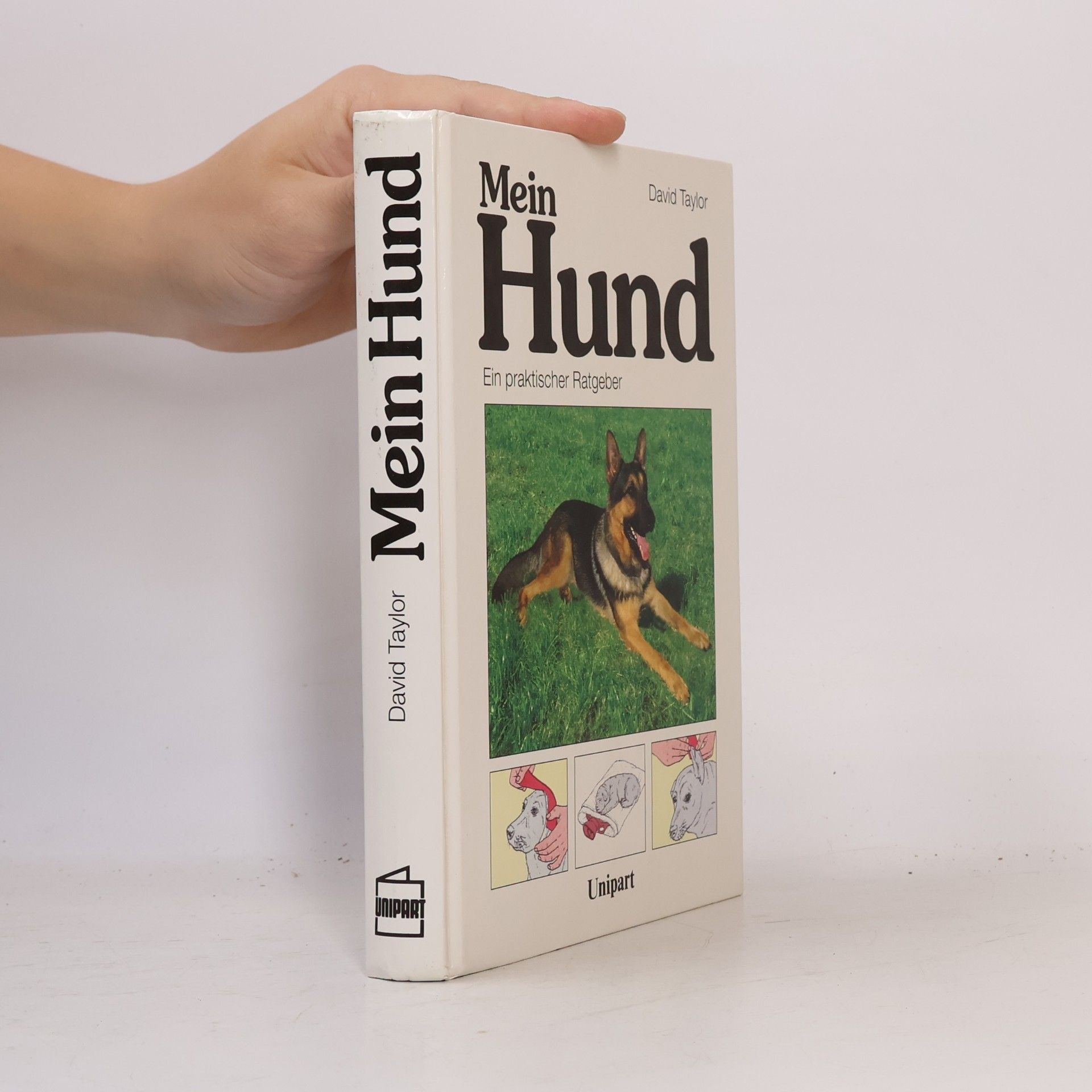 Autorenkollektiv Mein Hund