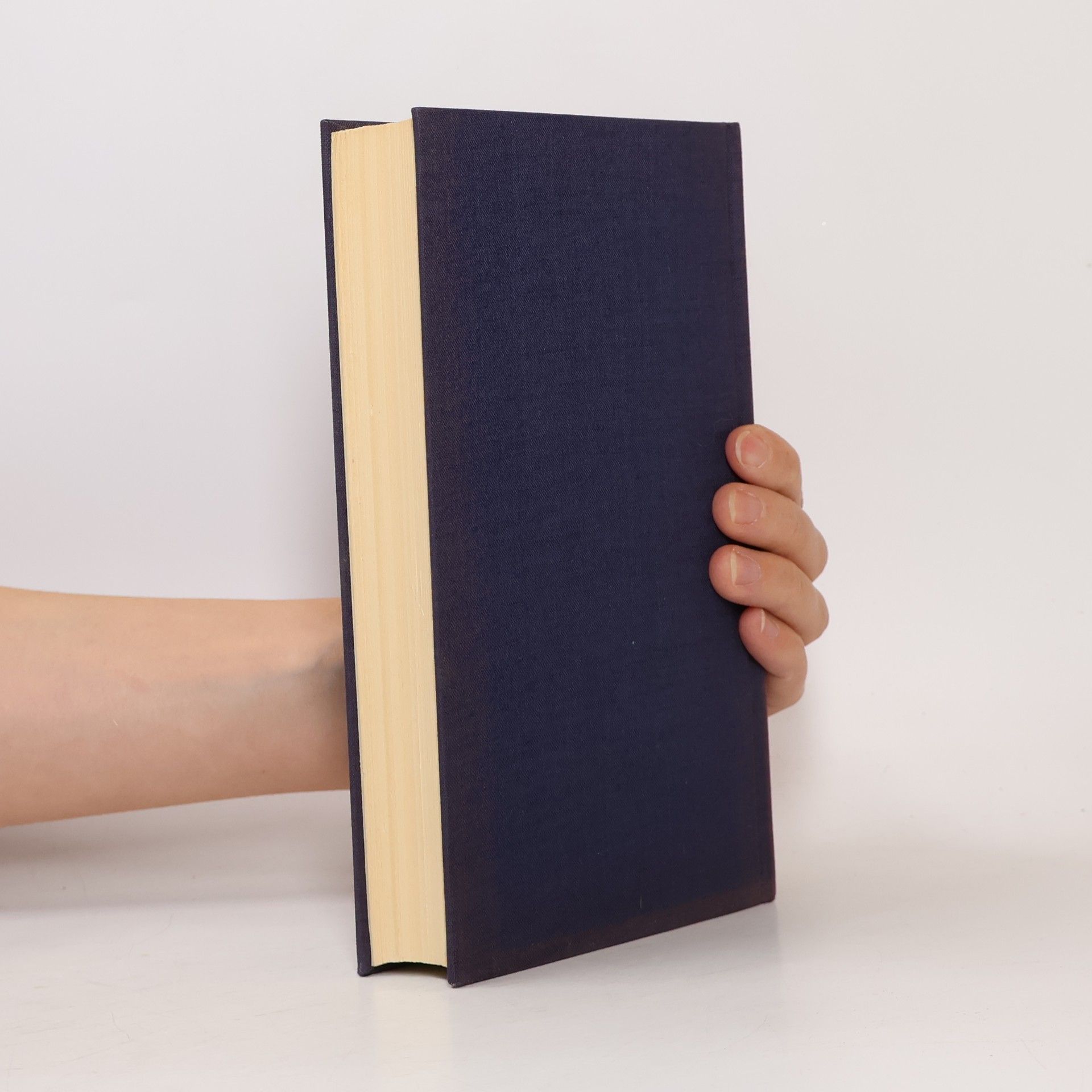 Ingeborg Bachmann Gedichte, Erzählungen, Hörspiel, Essays