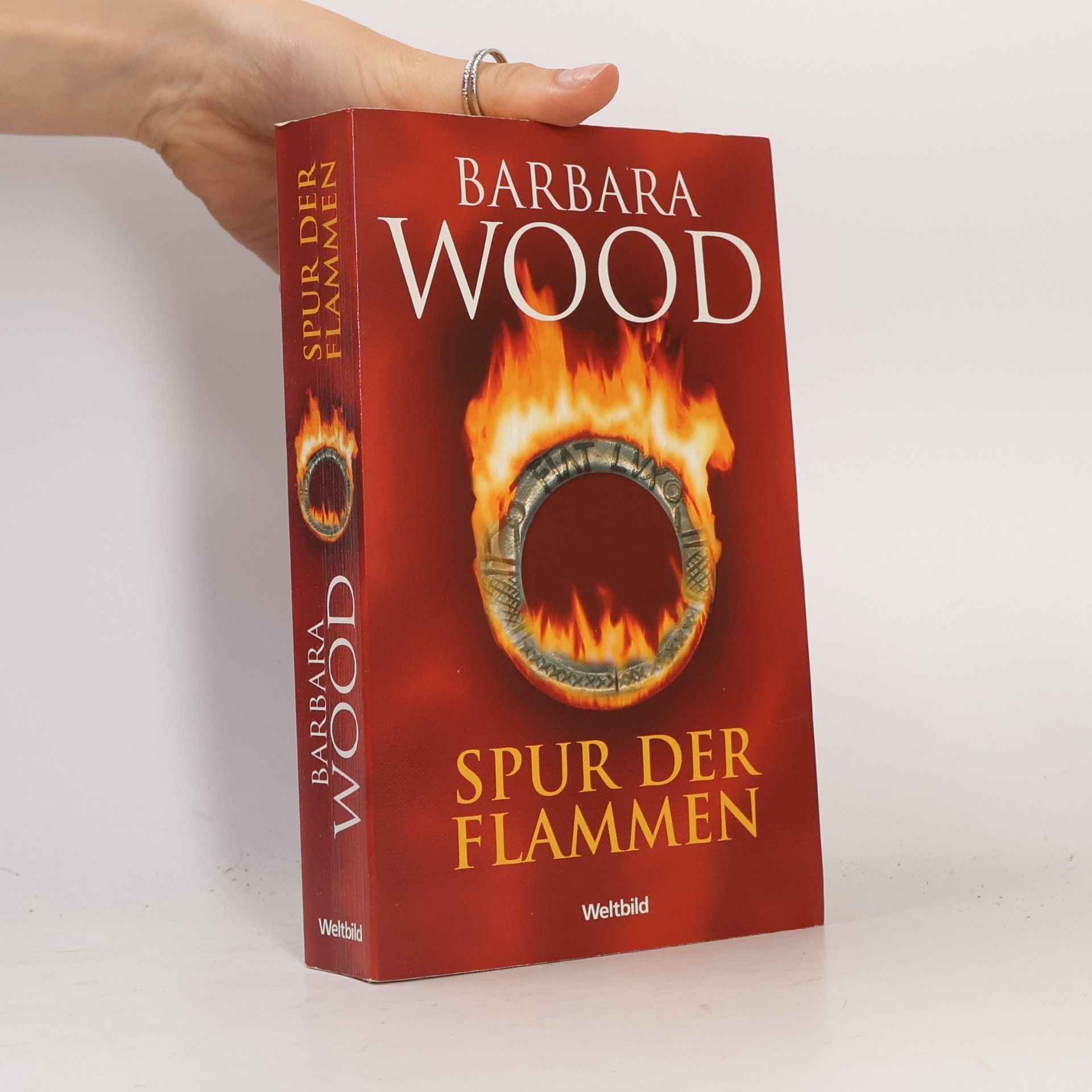 Barbara Wood Spur der Flammen