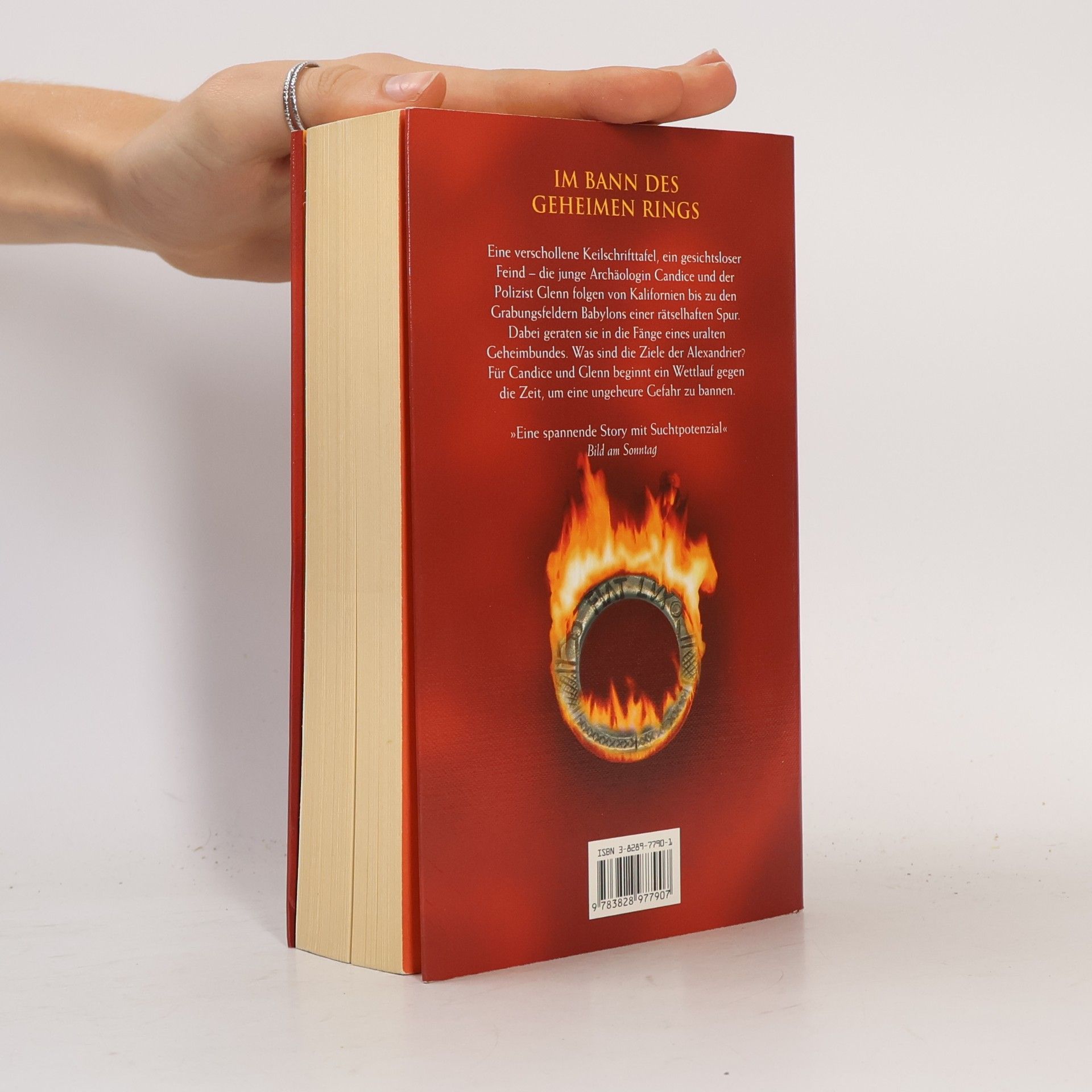 Barbara Wood Spur der Flammen