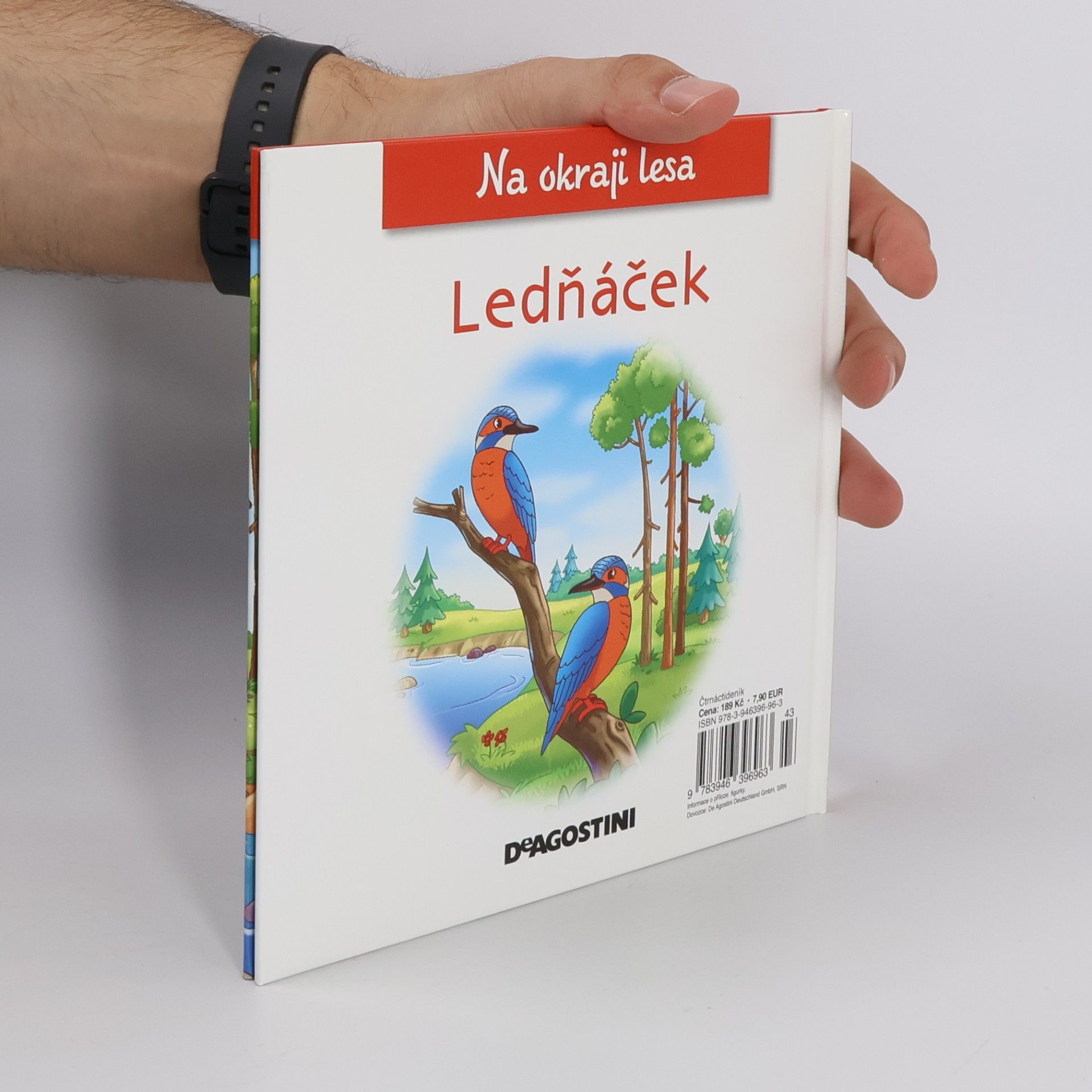 Autorenkollektiv Na okraji lesa 31. Ledňáček