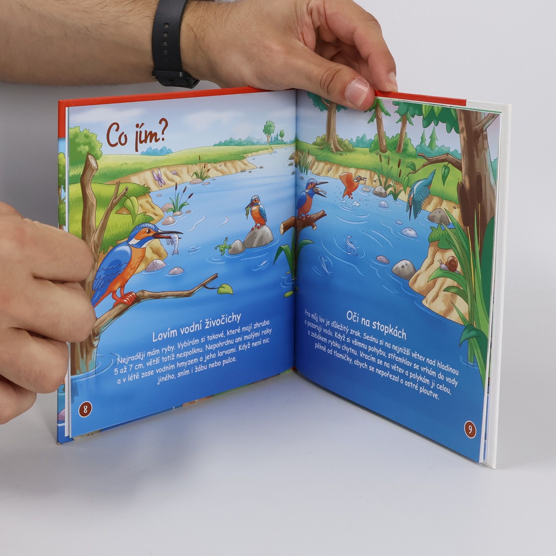 Autorenkollektiv Na okraji lesa 31. Ledňáček