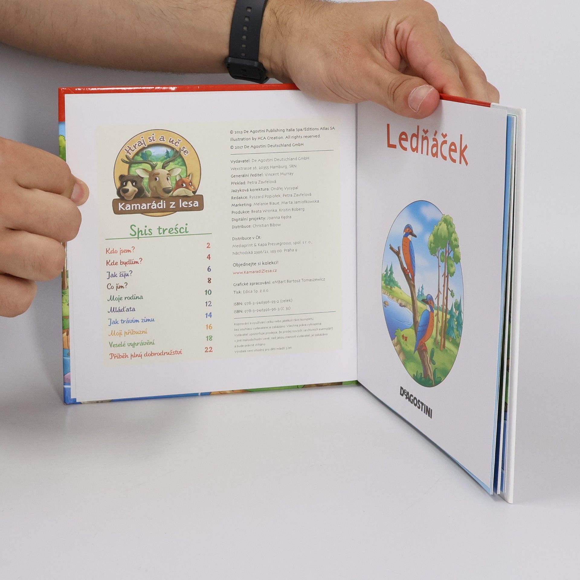 Autorenkollektiv Na okraji lesa 31. Ledňáček