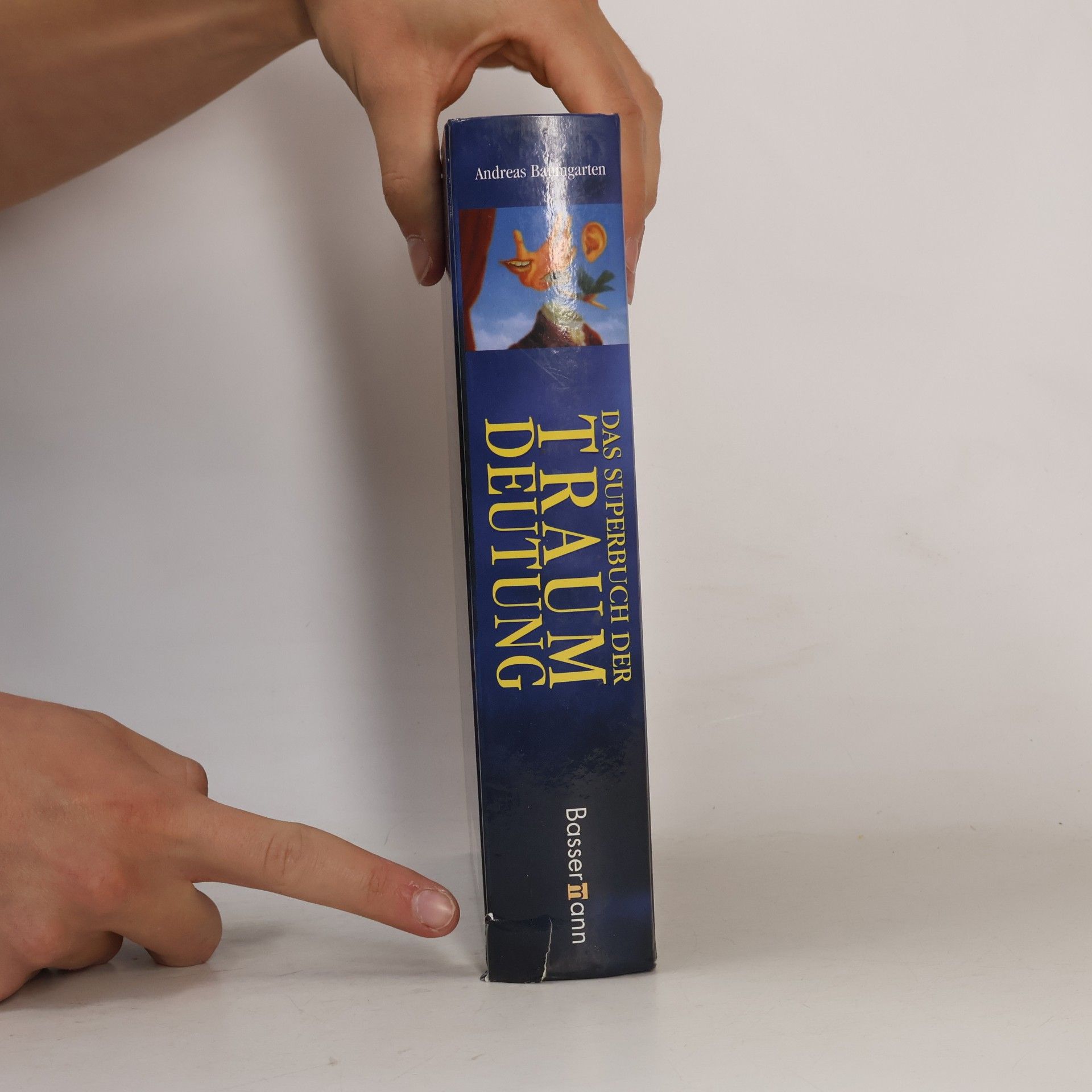 Autorenkollektiv Das Superbuch der Traumdeutung