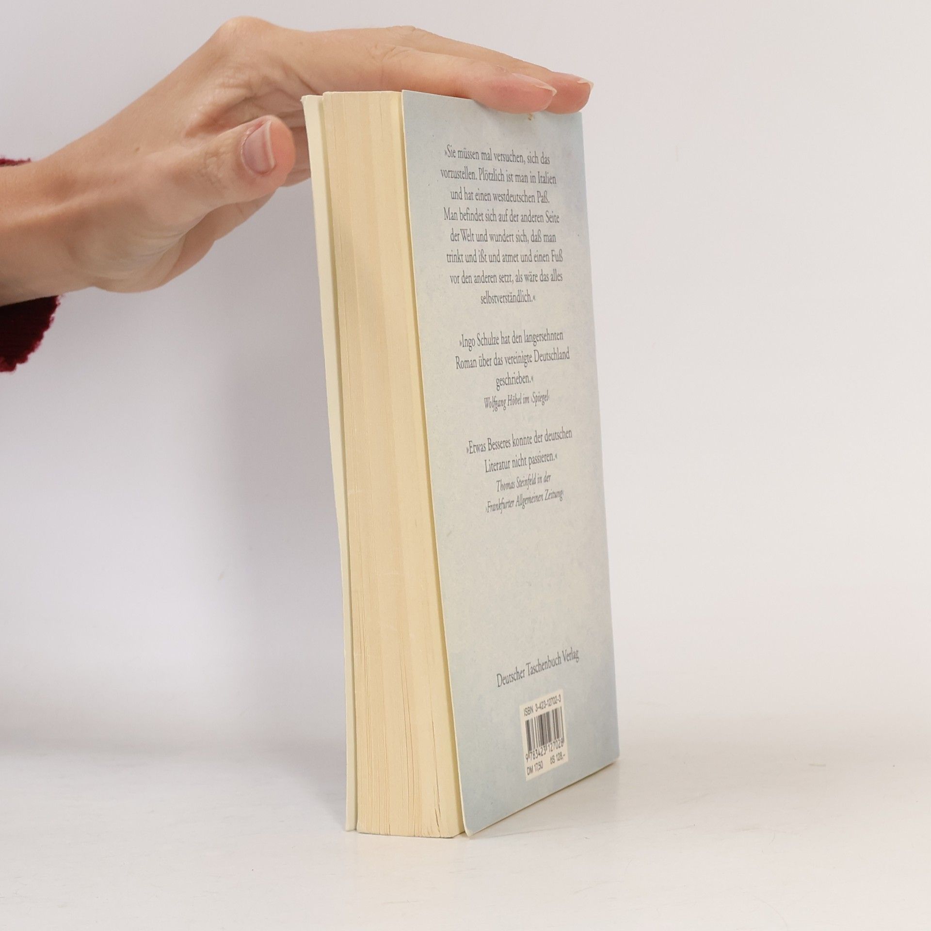 Ingo Schulze Simple Storys