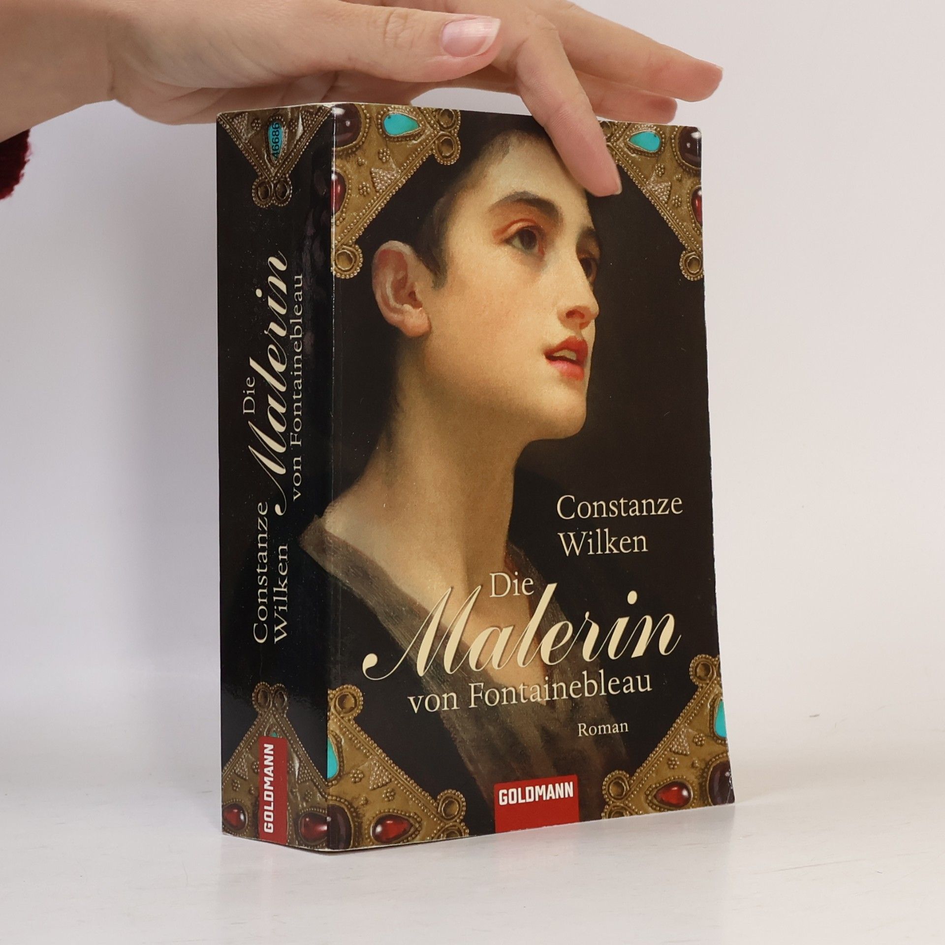 Constanze Wilken Die Malerin von Fontainebleau