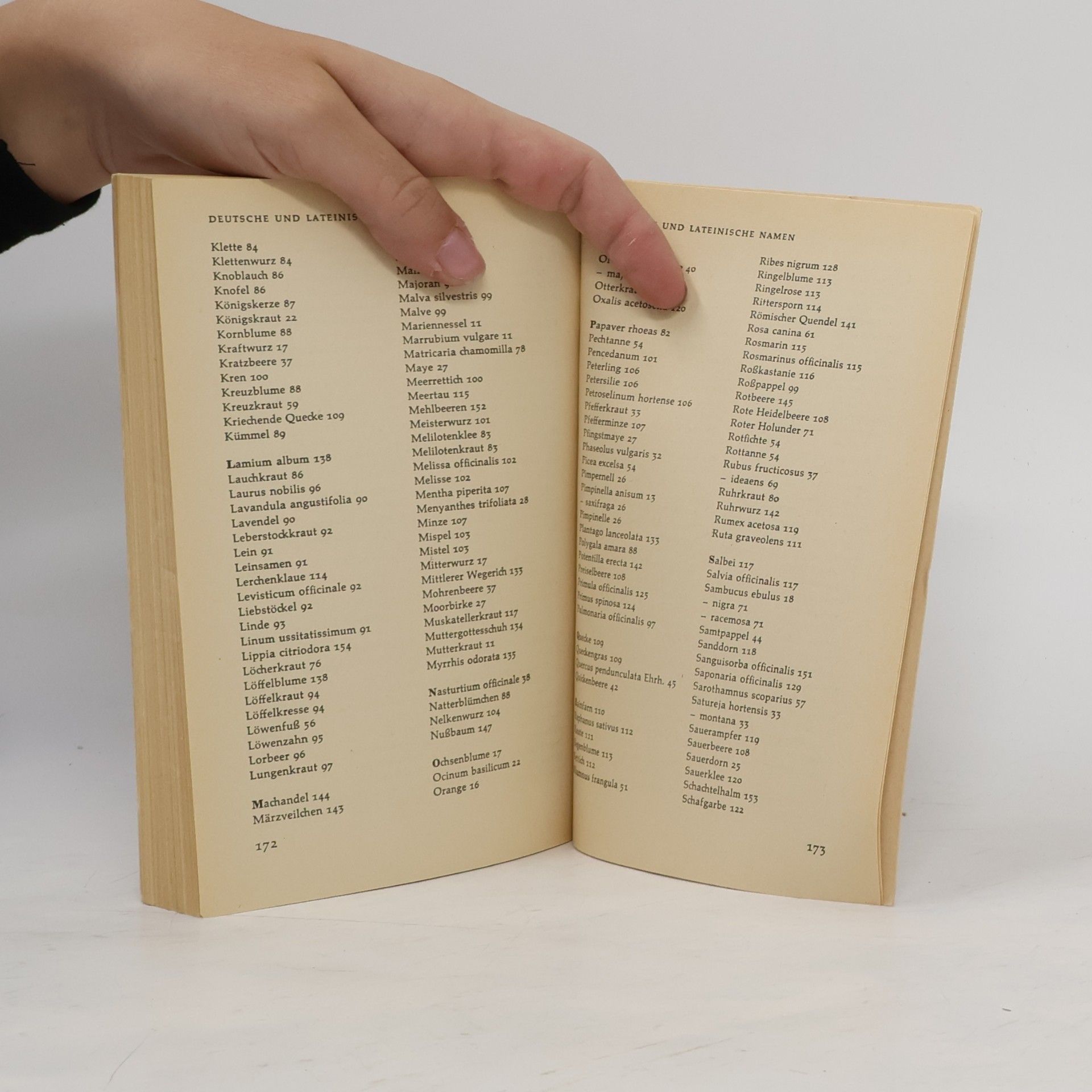 Eva Trauter Das Radis Kräuter Buch