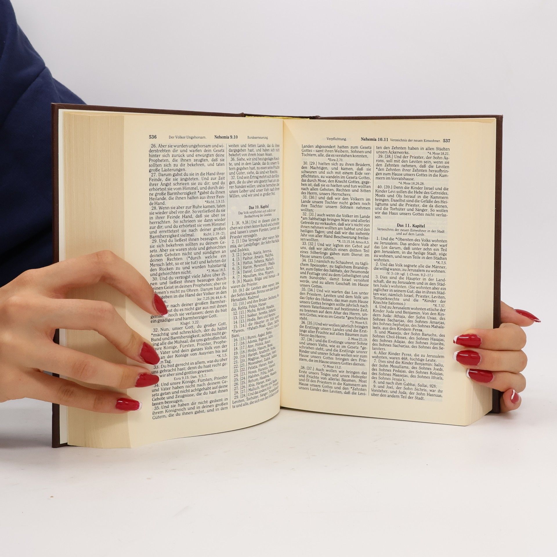 D. Martin Luthers Die Bibel