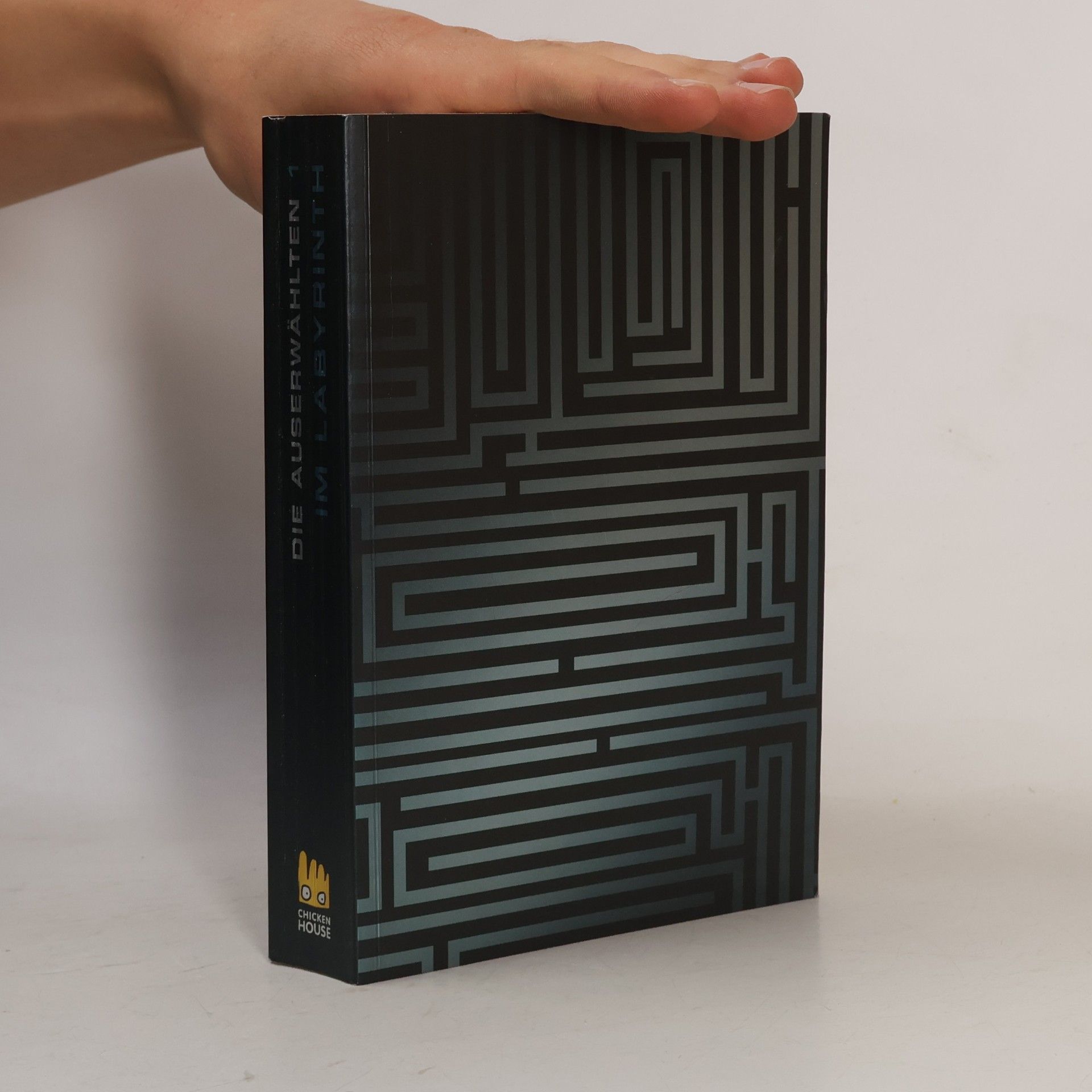 Die Auserwählten 1. Im Labyrinth
