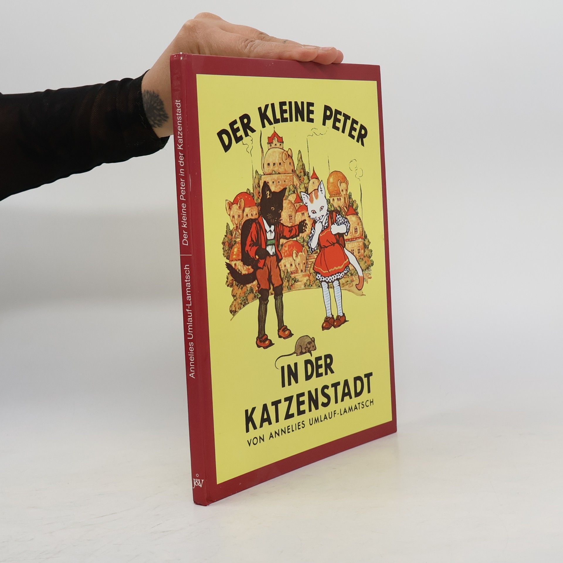 kolektiv Der kleine Peter in der Katzenstadt