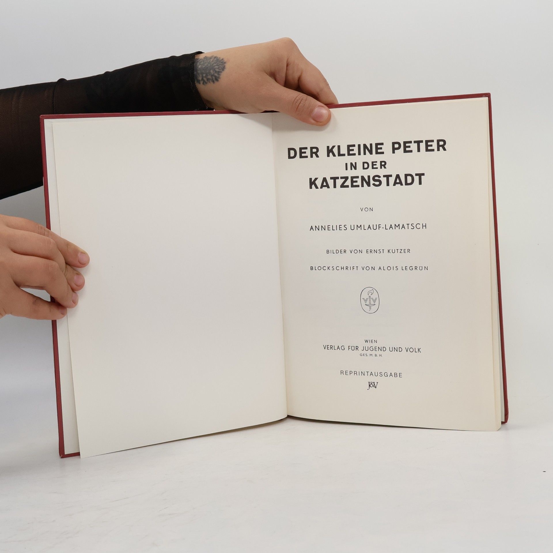 kolektiv Der kleine Peter in der Katzenstadt