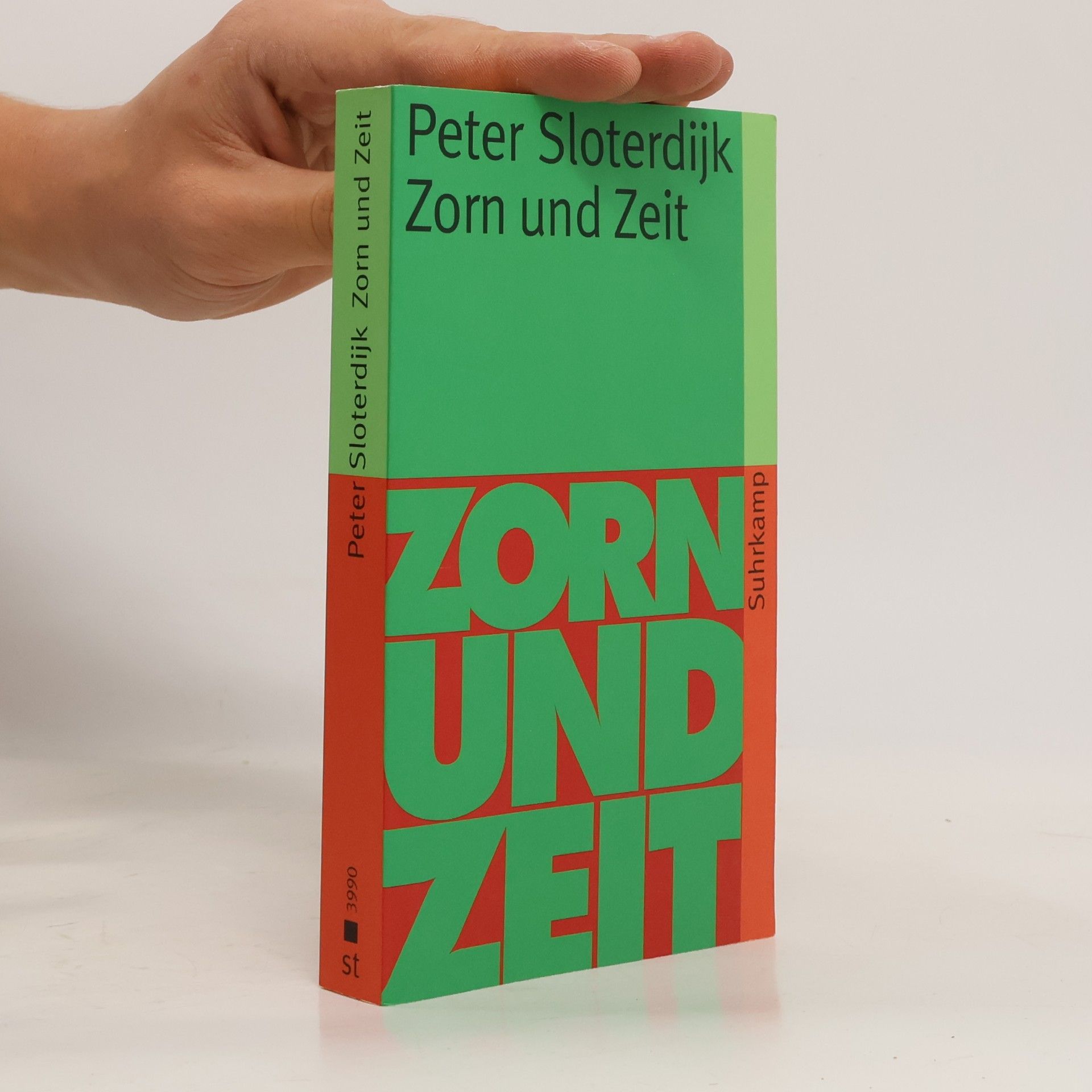 Peter Sloterdijk Zorn und Zeit