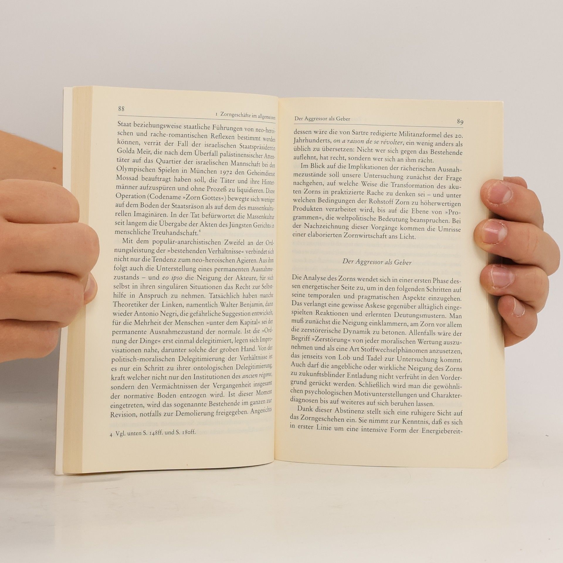 Peter Sloterdijk Zorn und Zeit
