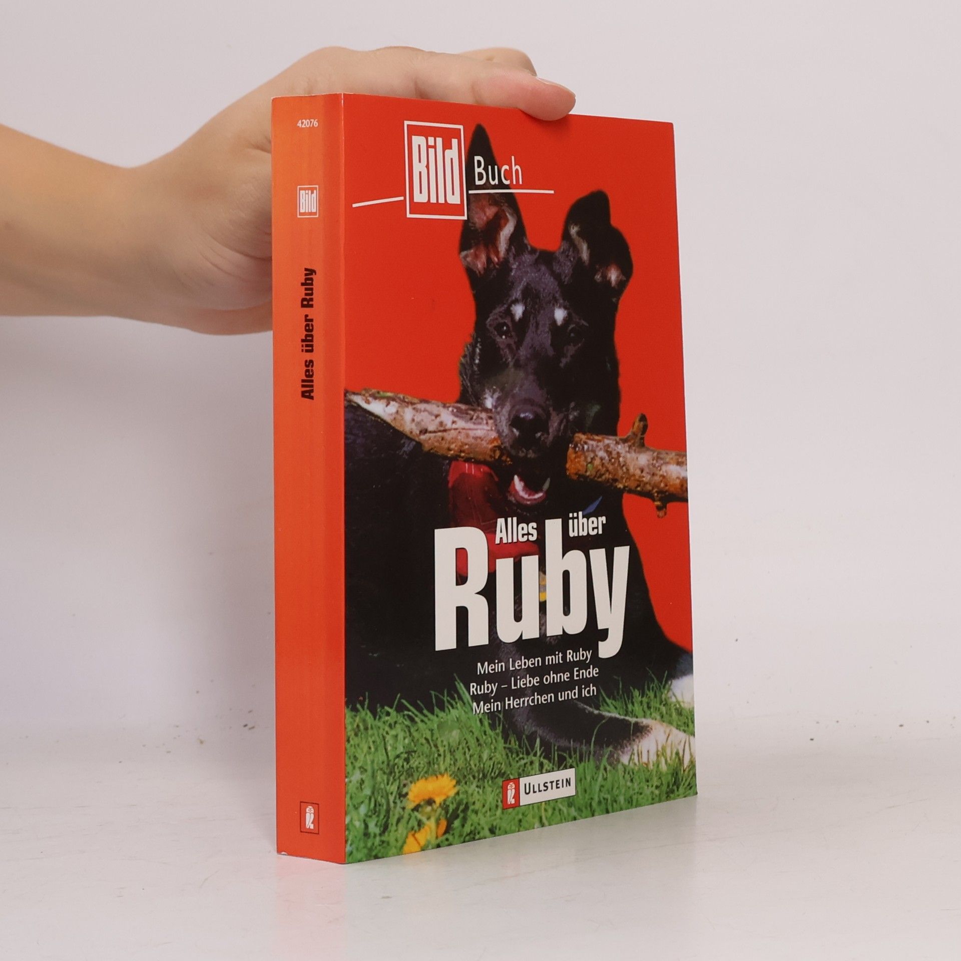 Norbert Körzdörfer Alles über Ruby