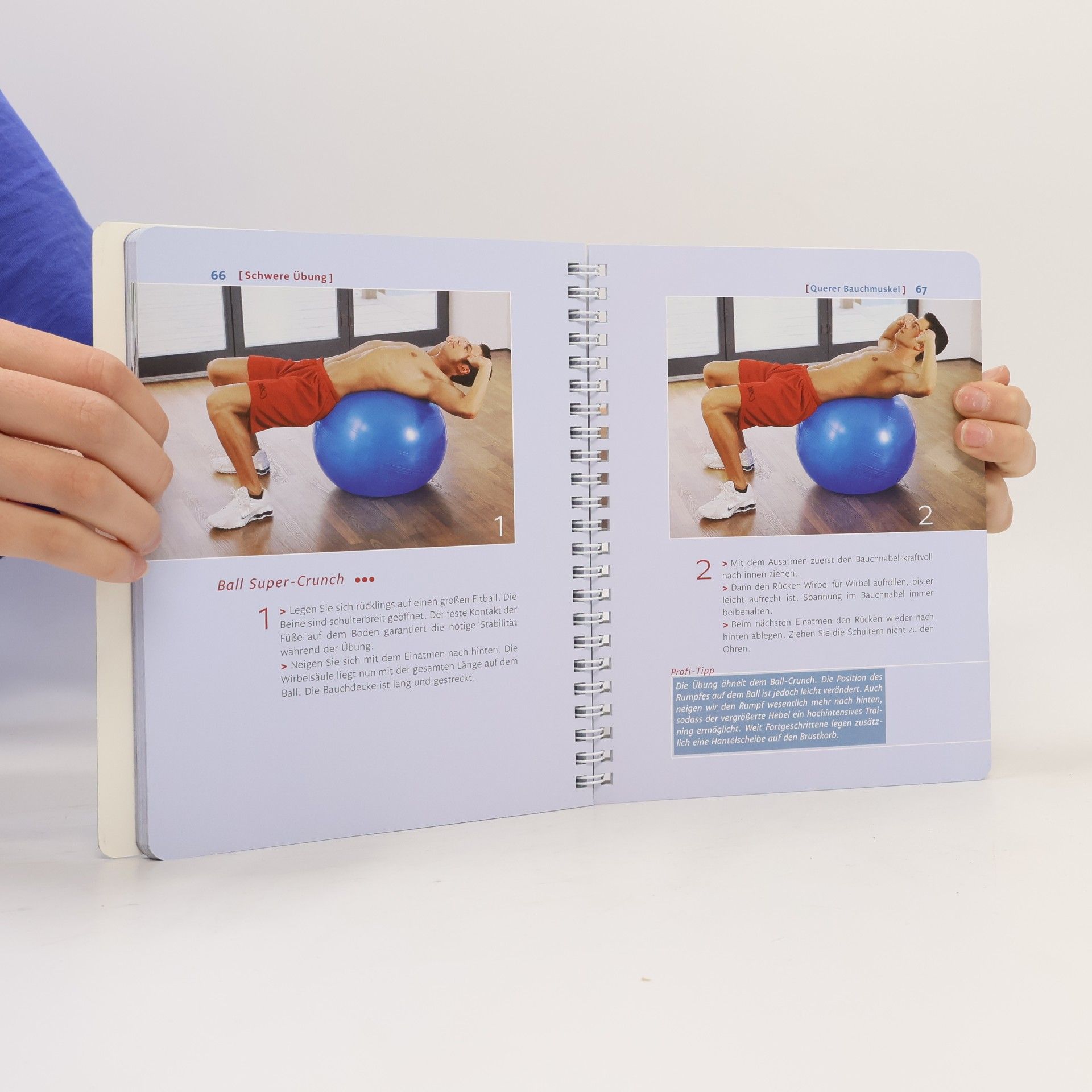 Wolfgang Mießner Trainings-Guide Bauch