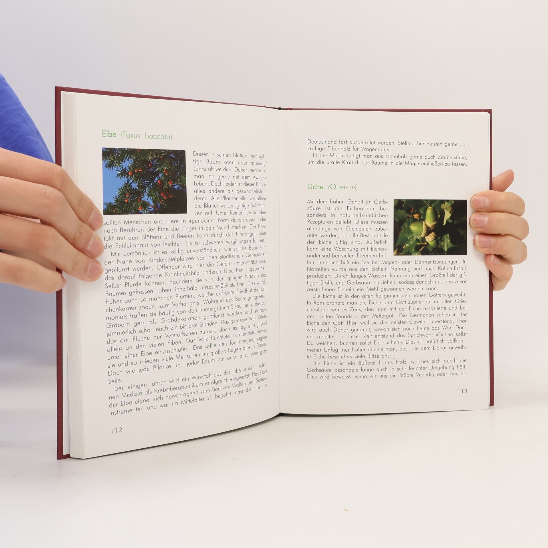 Susanne Klimt Das Lehrbuch der Hexenkunst