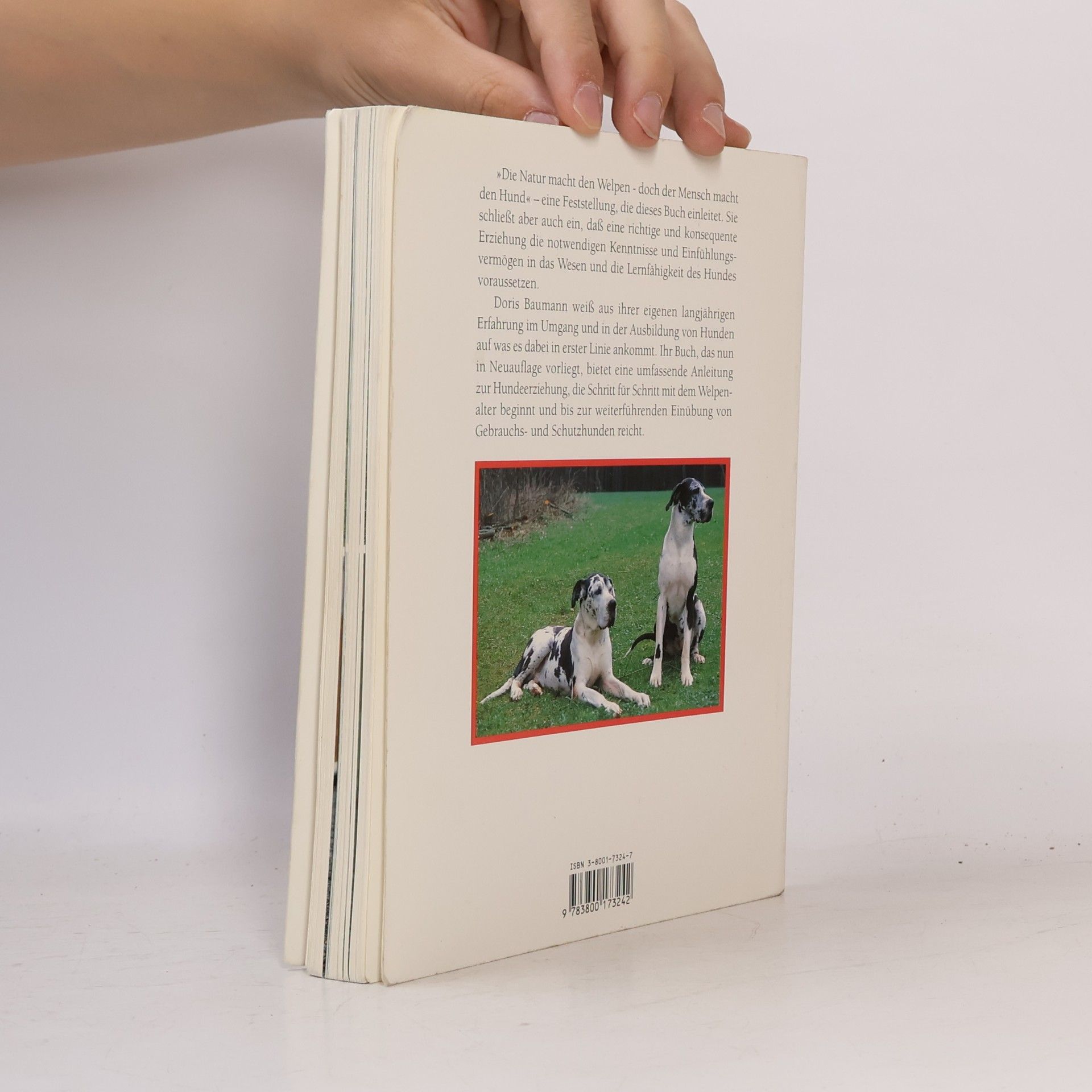 Doris Baumann Hunde erziehen