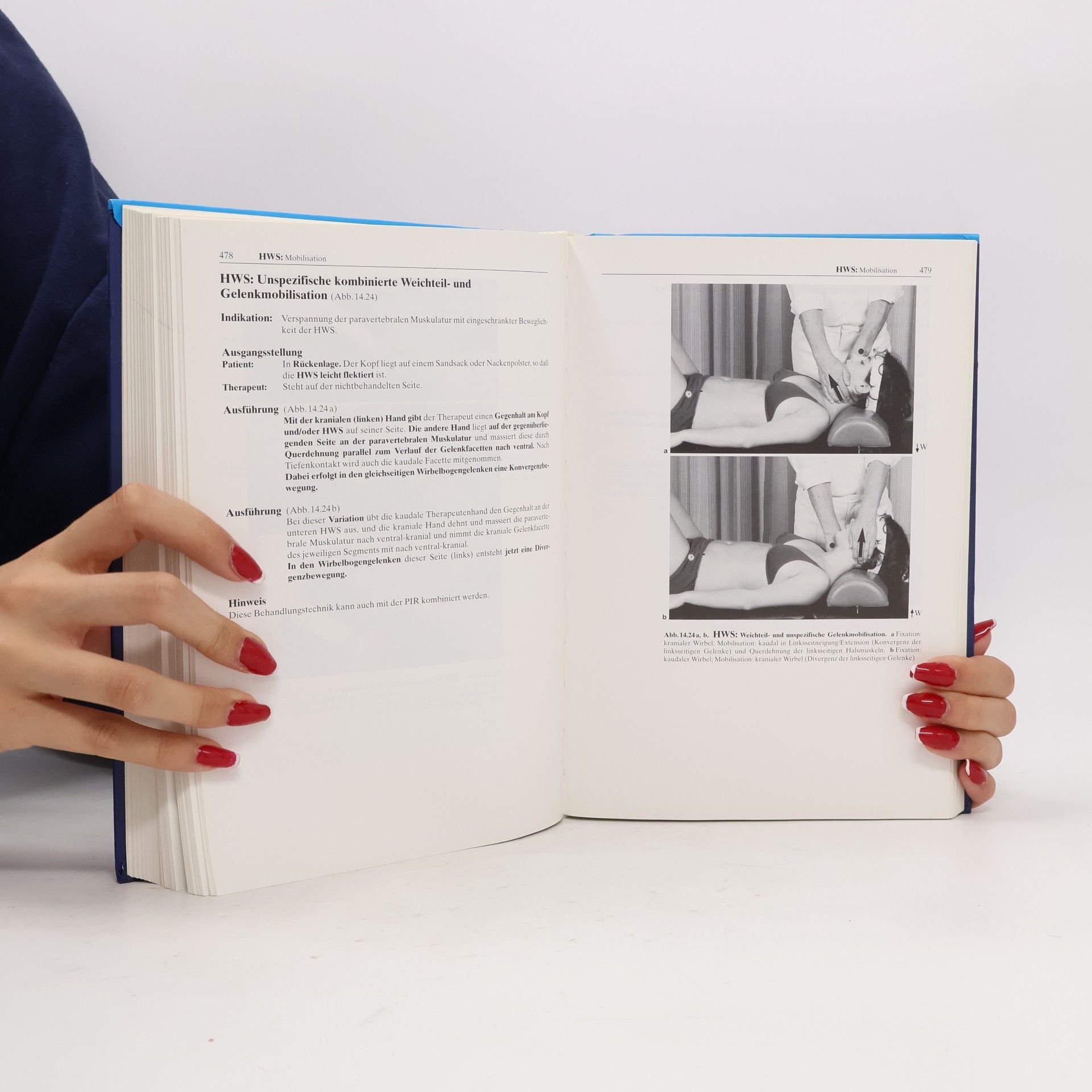 Herbert Frisch Programmierte Therapie am Bewegungsapparat