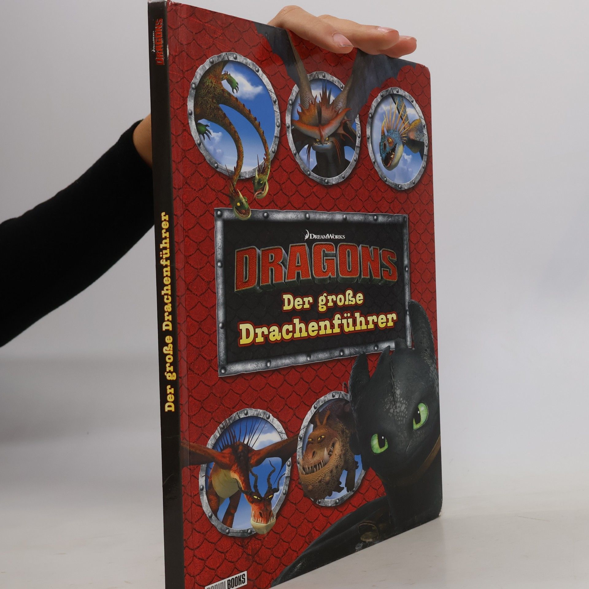 Maggie Testa DreamWorks Dragons - der große Drachenführer