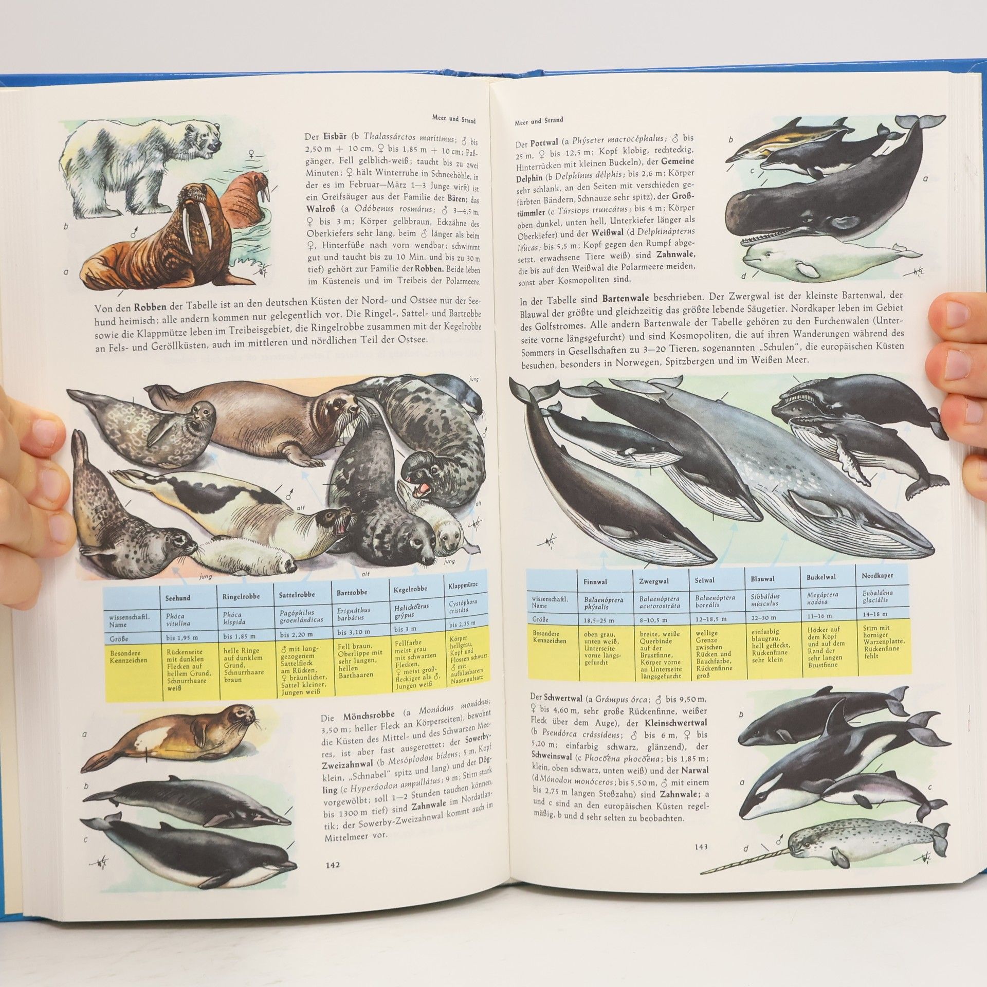 Harry Garms Handbuch der Tiere und Pflanzen