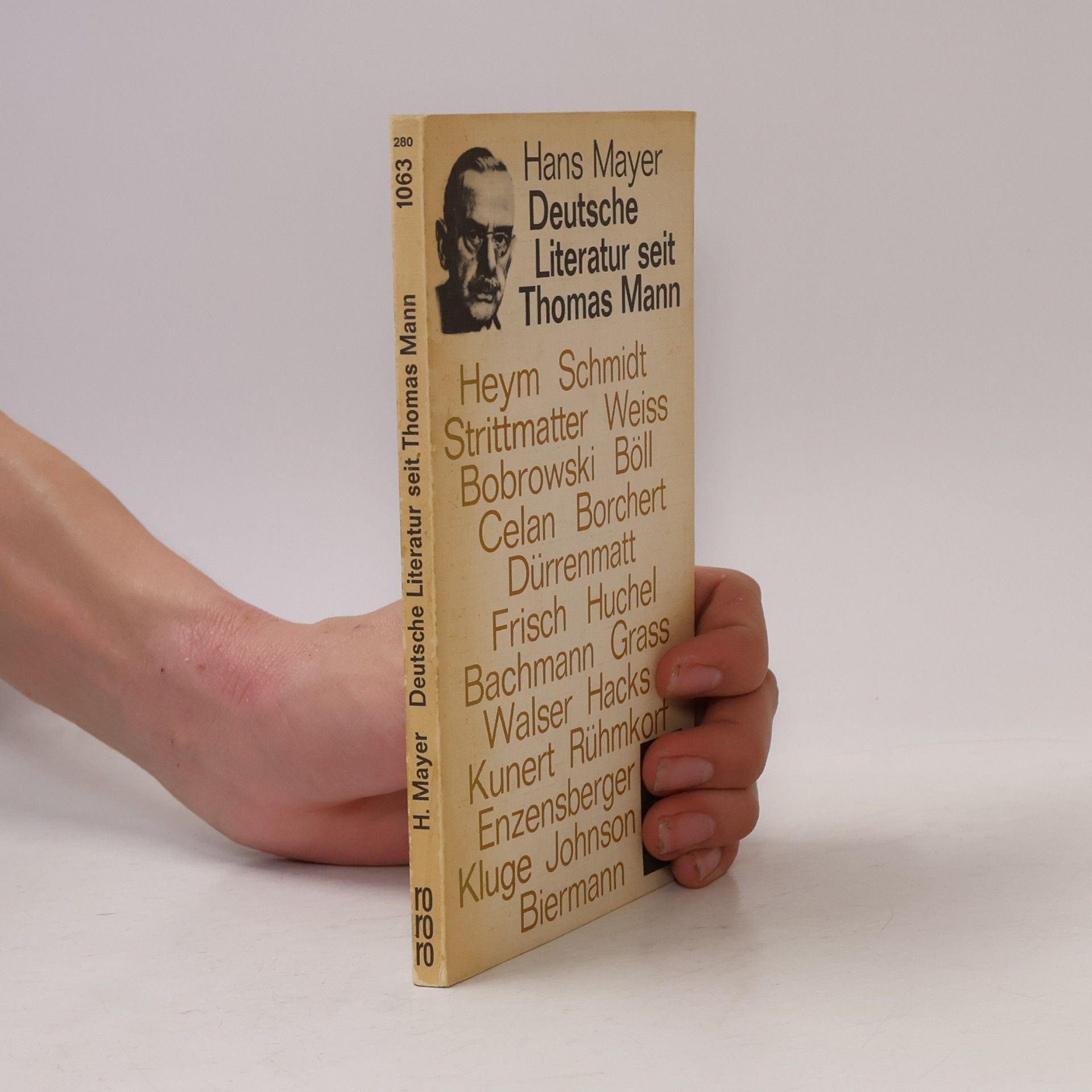Hans Mayer Deutsche Literatur seit Thomas Mann