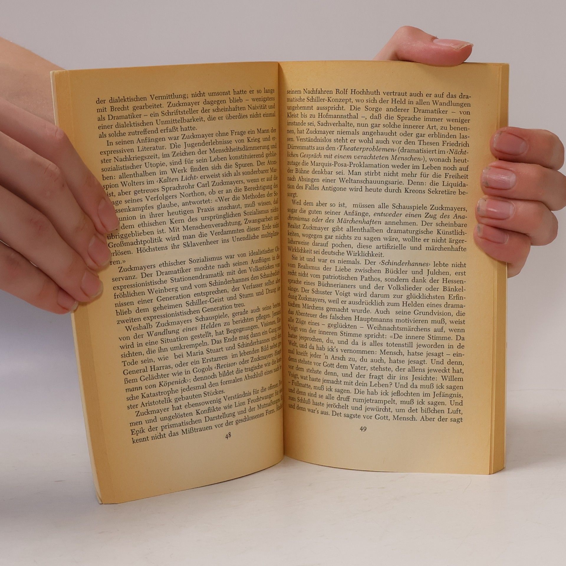 Hans Mayer Deutsche Literatur seit Thomas Mann