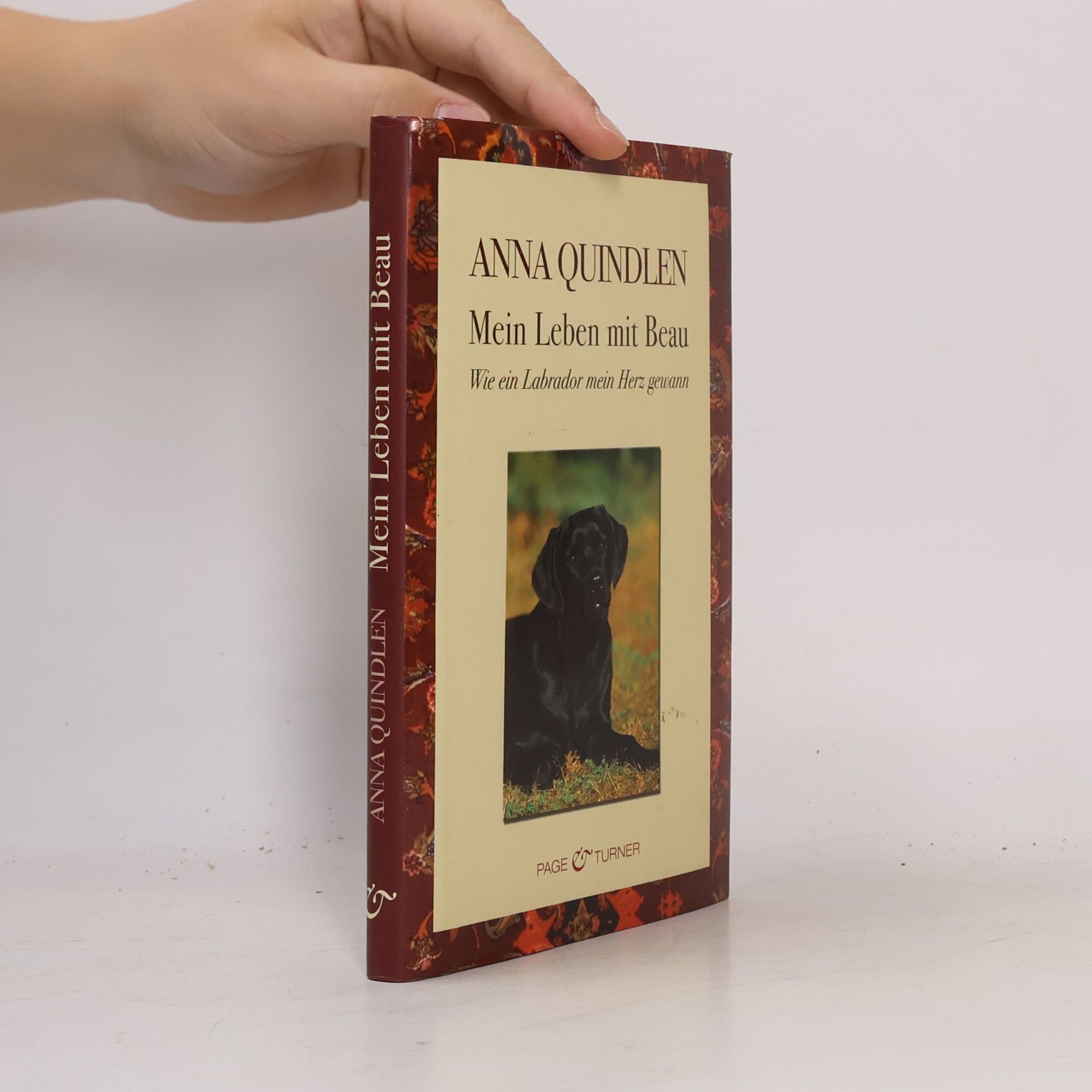 Anna Quindlen Mein Leben mit Beau