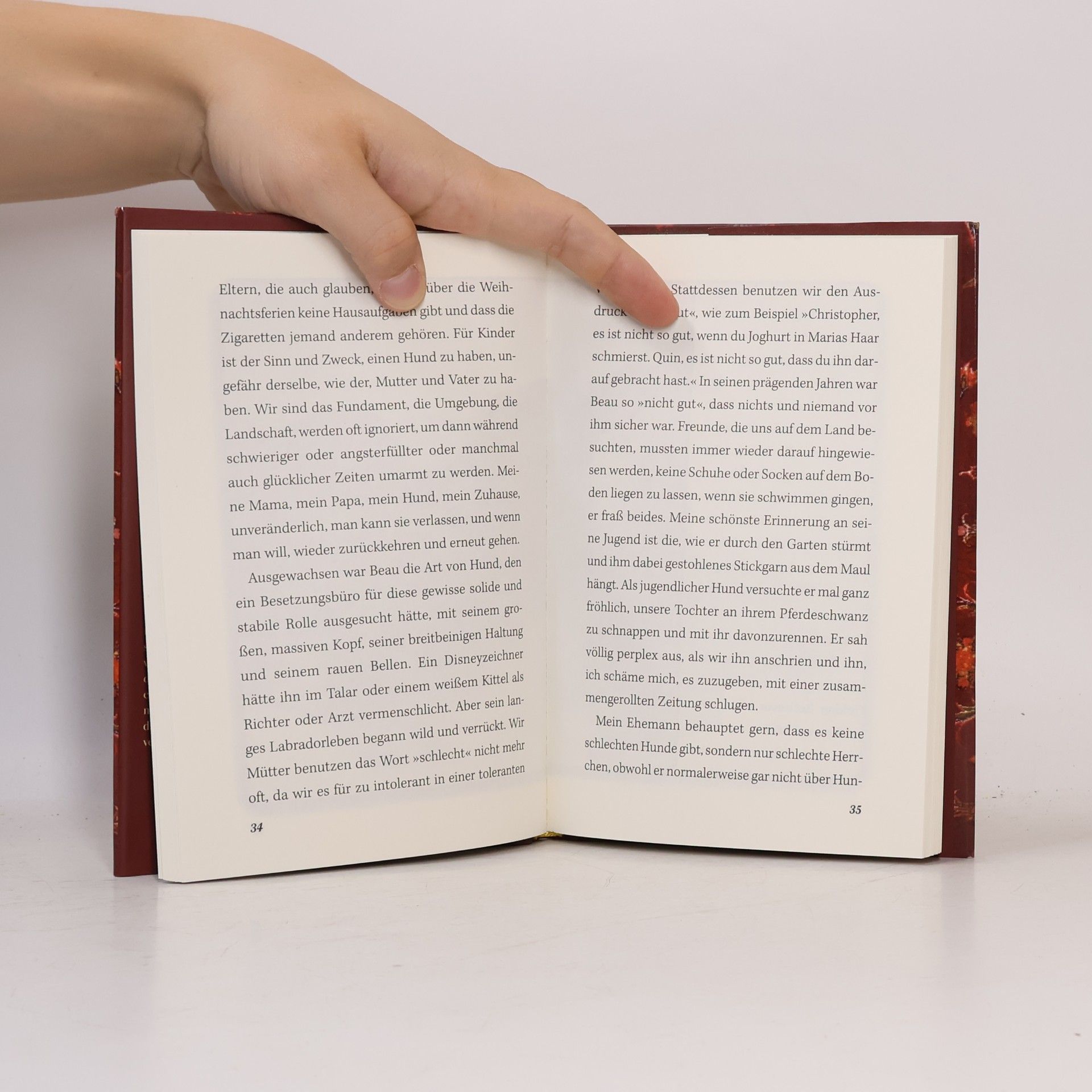 Anna Quindlen Mein Leben mit Beau