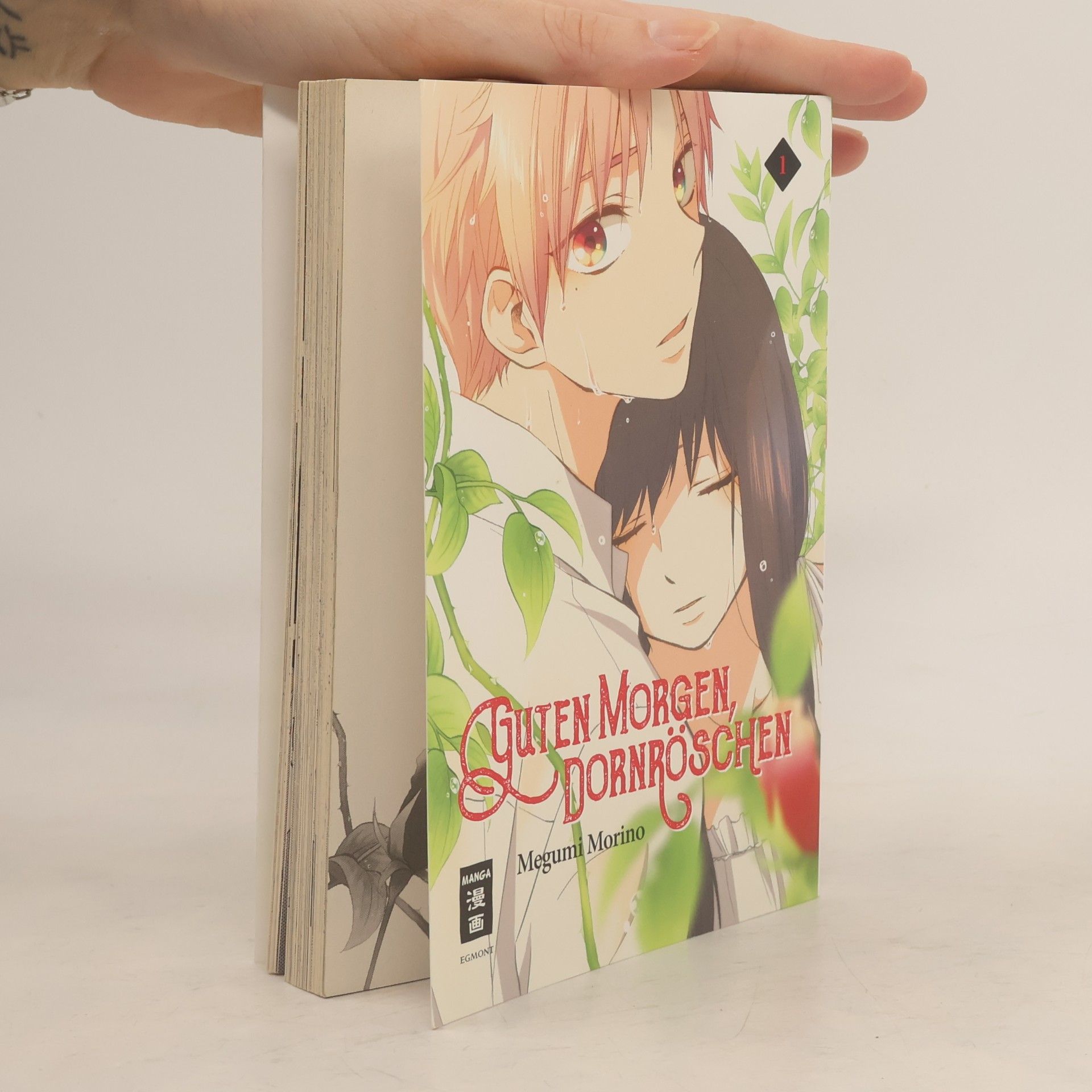 Megumi Morino Guten Morgen, Dornröschen!. Bd.1