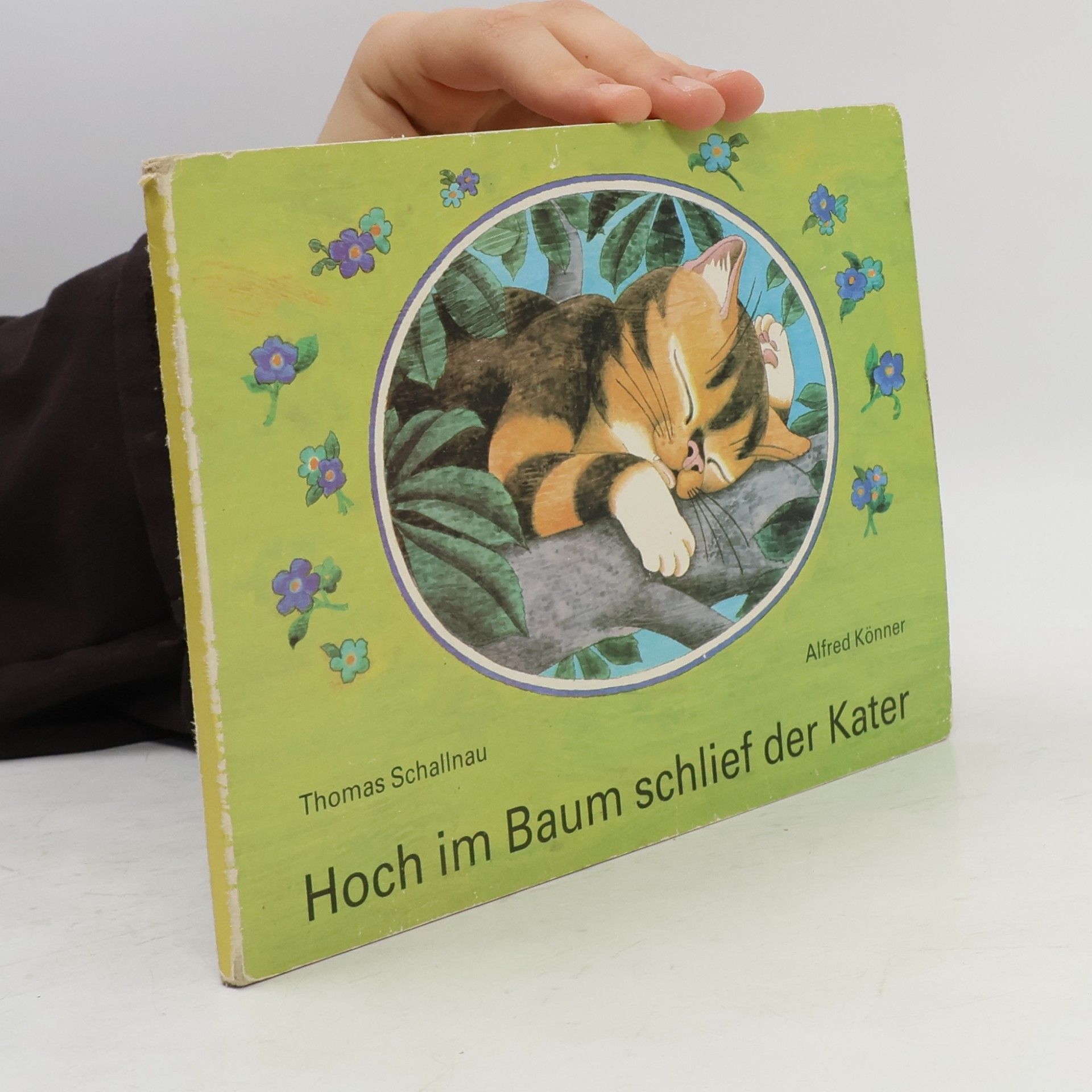 Kolektiv autorů Hoch im Baum schlief der Kater