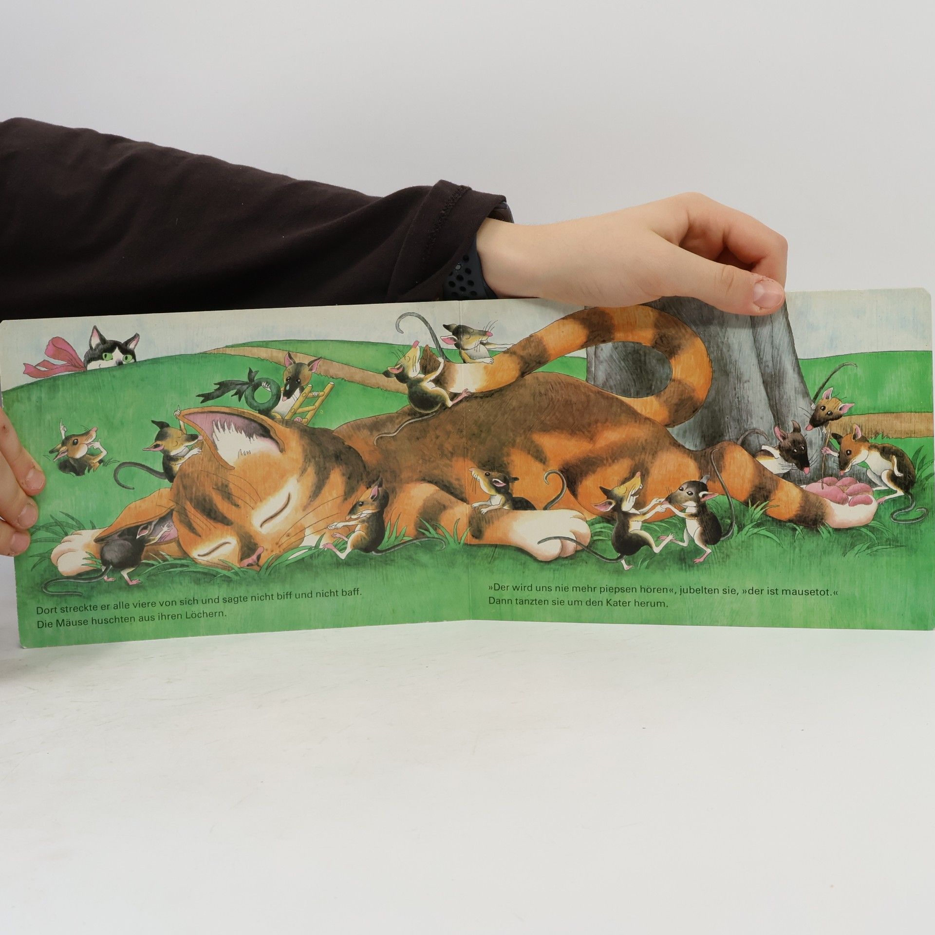 Kolektiv autorů Hoch im Baum schlief der Kater