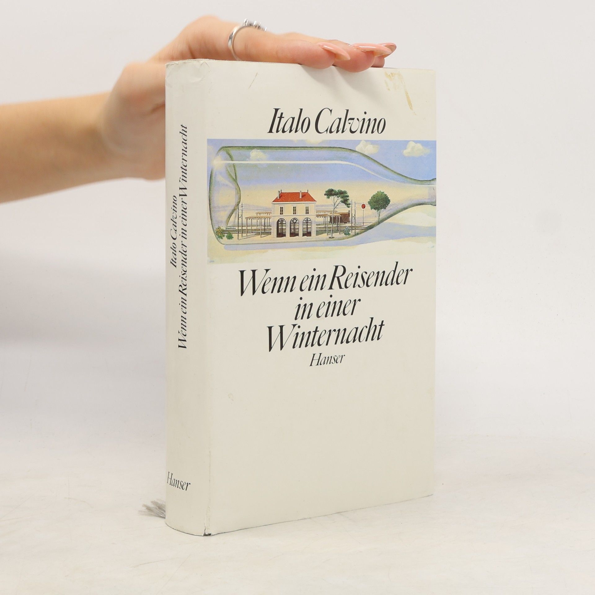 Italo Calvino Wenn ein Reisender in einer Winternacht