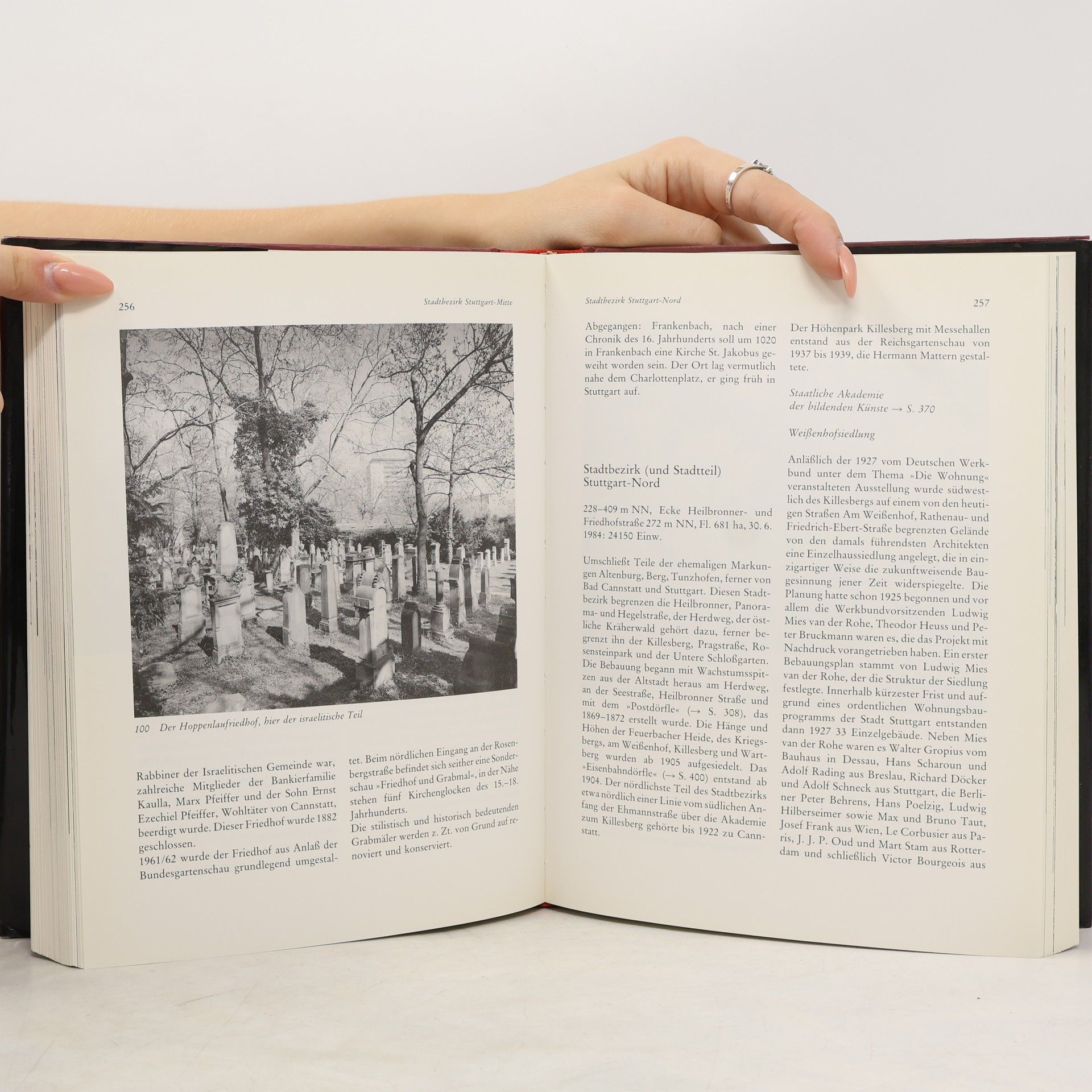 Hans Schleuning Stuttgart-Handbuch