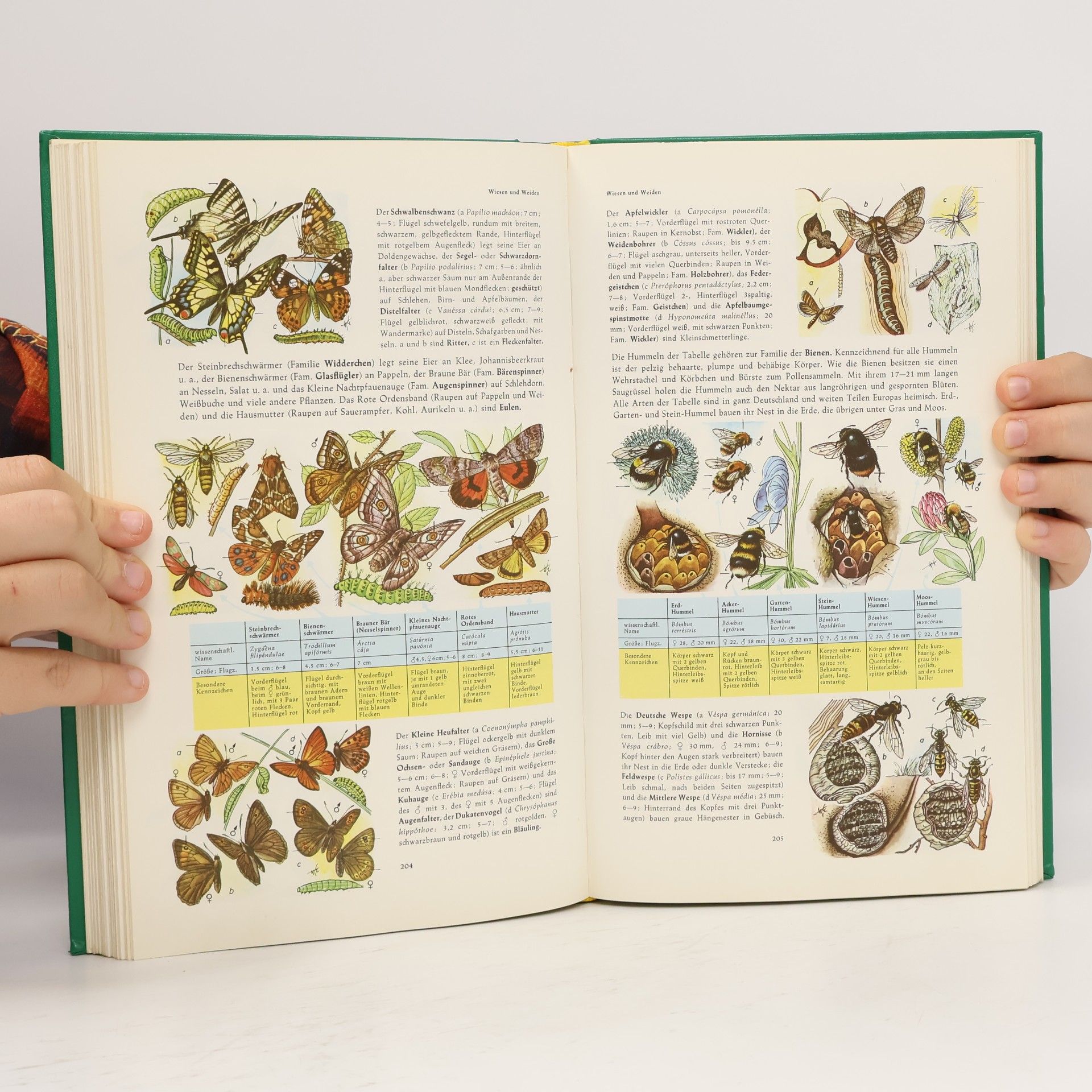 Harry Garms Pflanzen und Tiere Europas