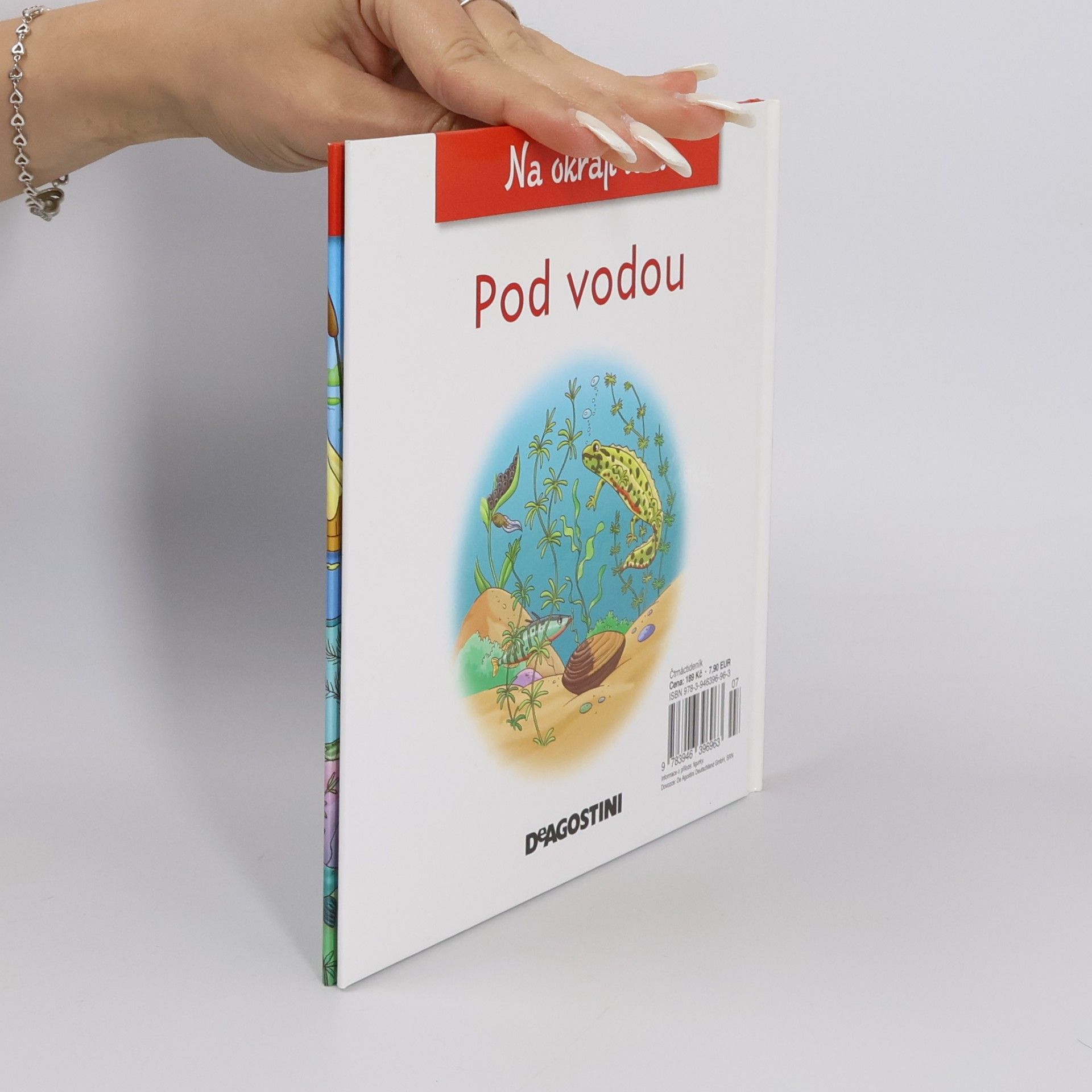 Kolektiv autorů Na okraji lesa 39. Pod vodou