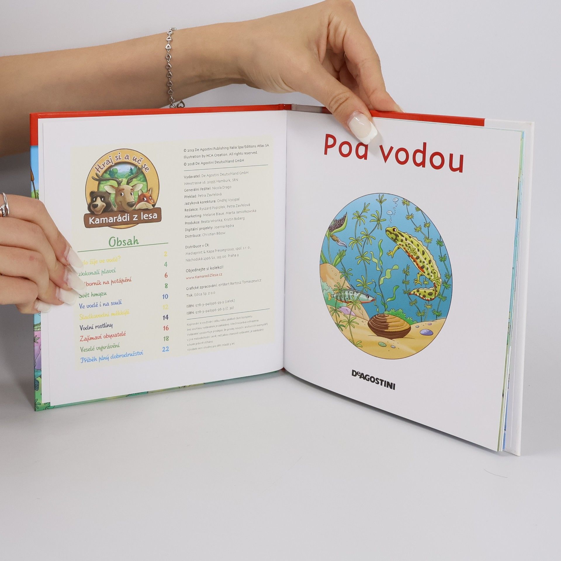 Kolektiv autorů Na okraji lesa 39. Pod vodou