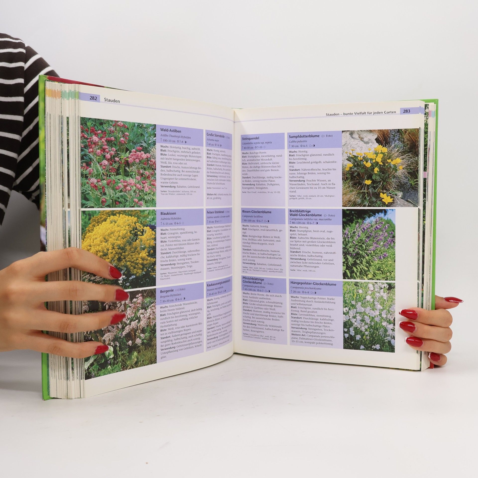 Eva Ott Das große BLV-Handbuch Garten