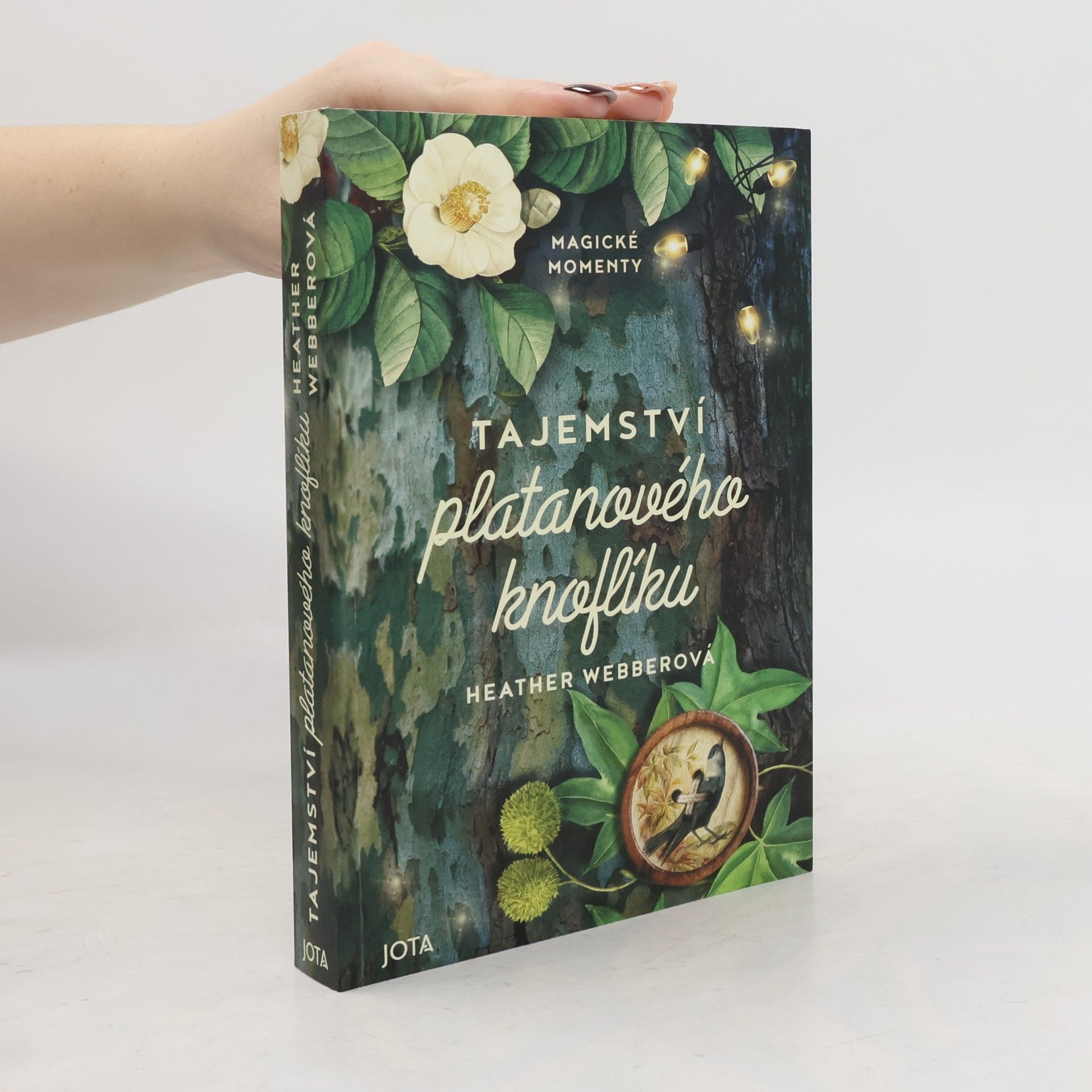 Heather Webber Tajemství platanového knoflíku