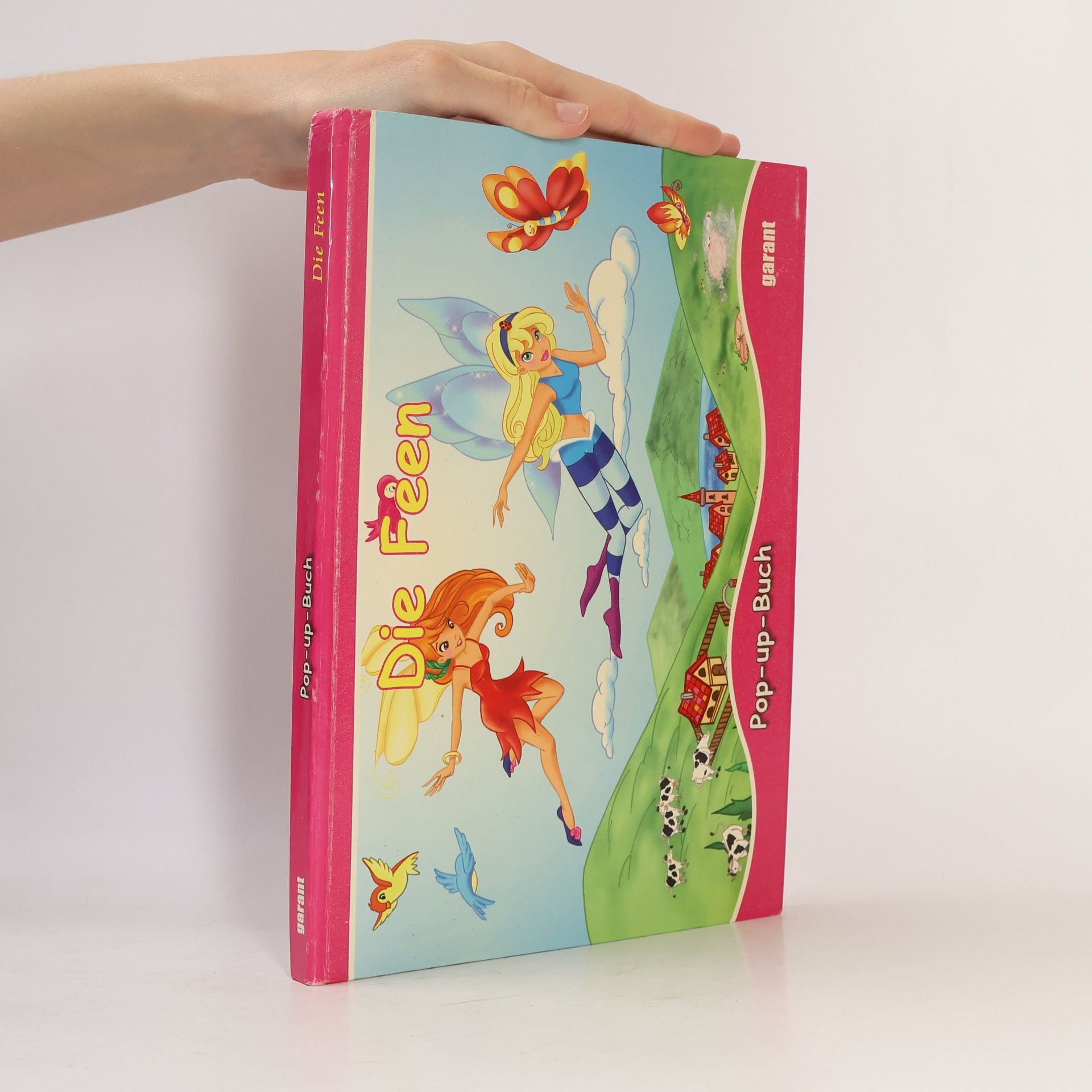 Kolektiv autorů Die Feen - Pop up Buch