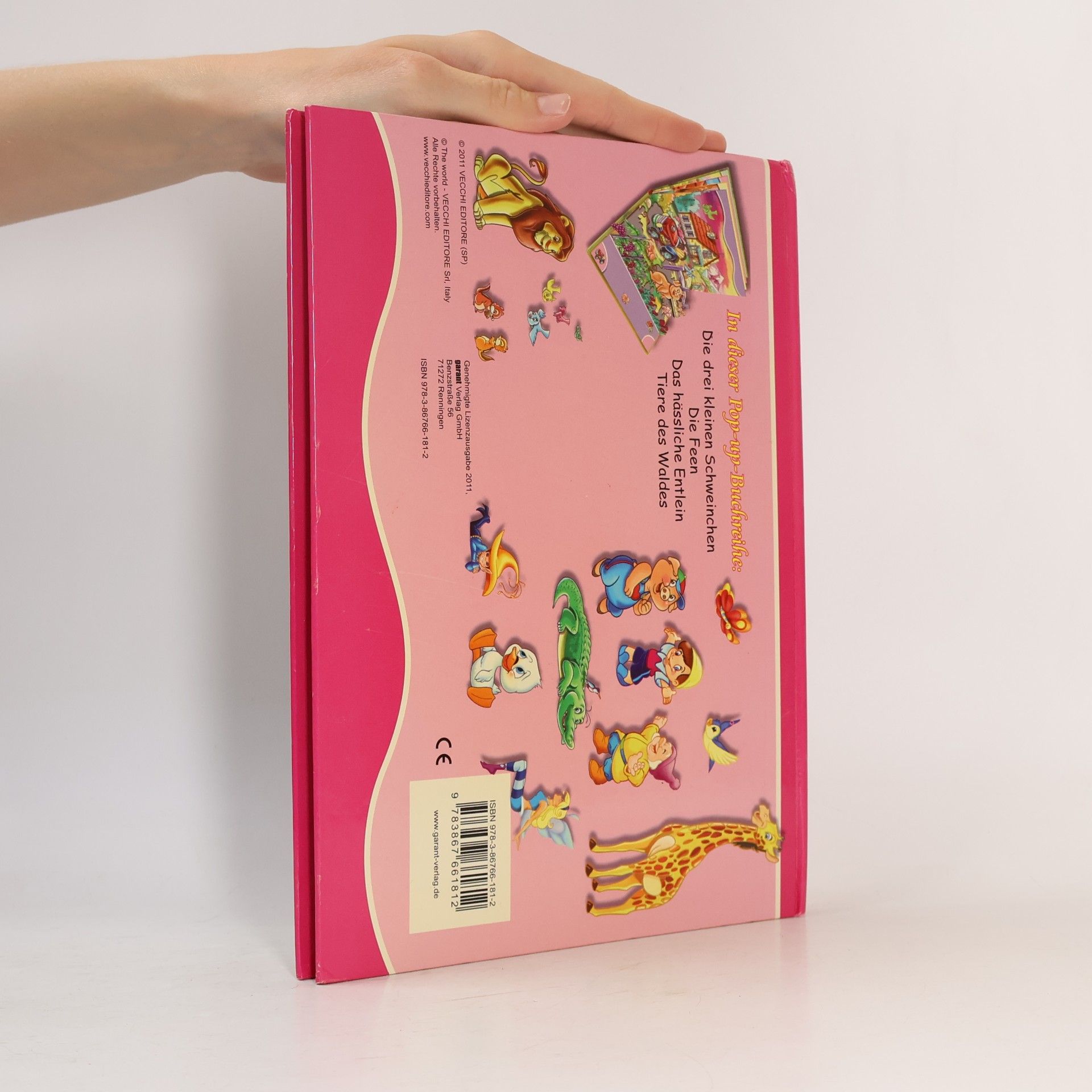 Die Feen - Pop up Buch