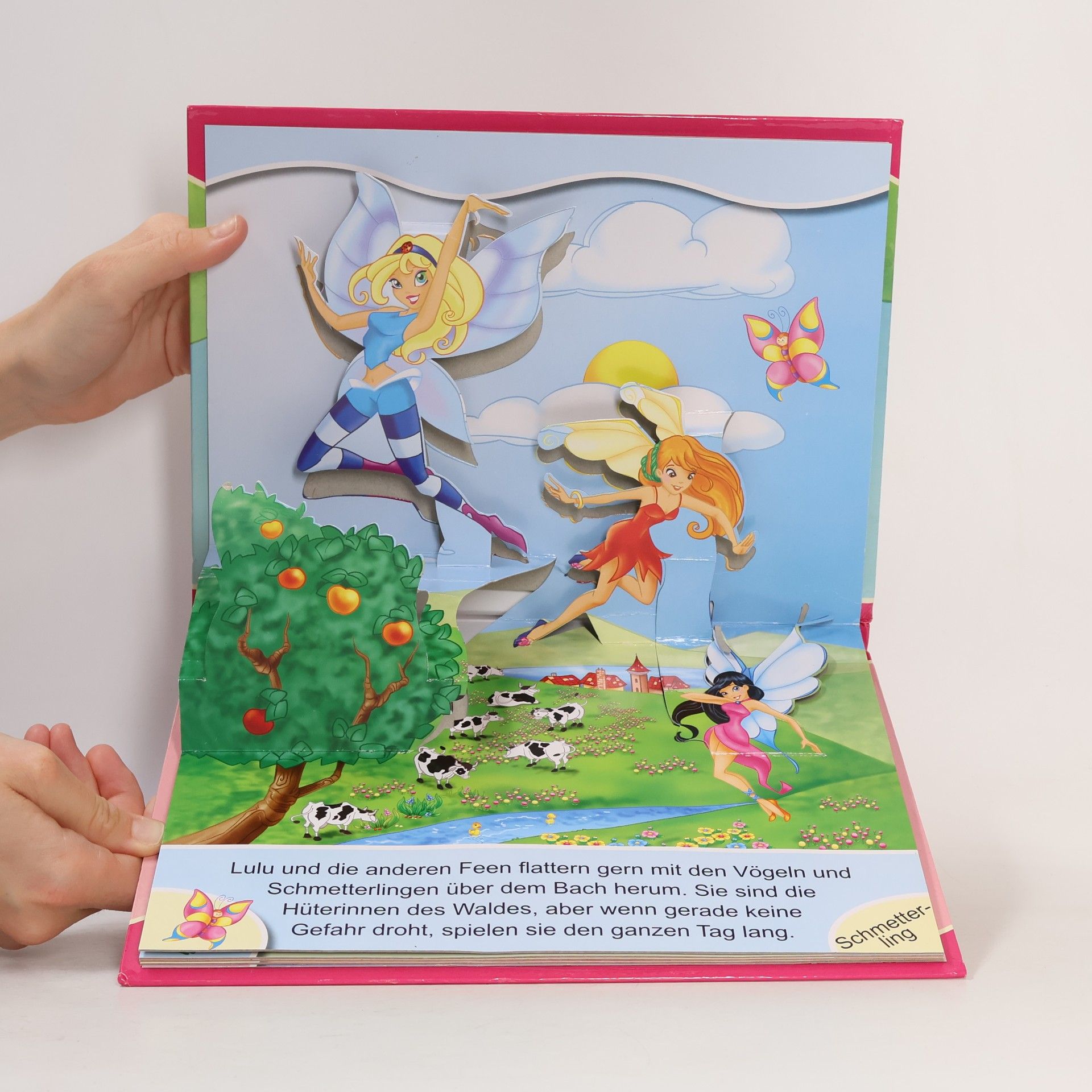 Die Feen - Pop up Buch