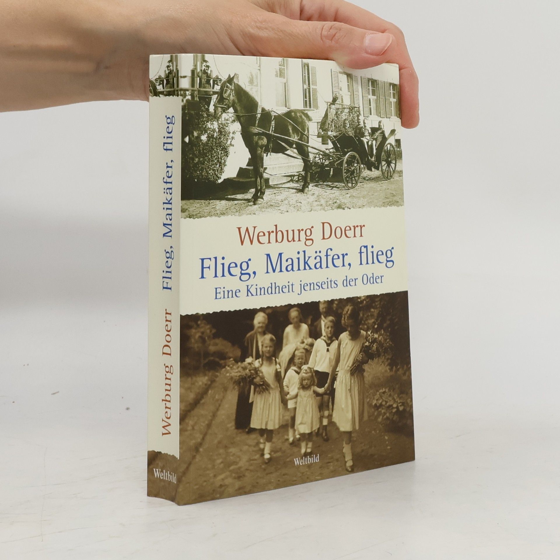 Werburg Doerr Flieg, Maikäfer, flieg