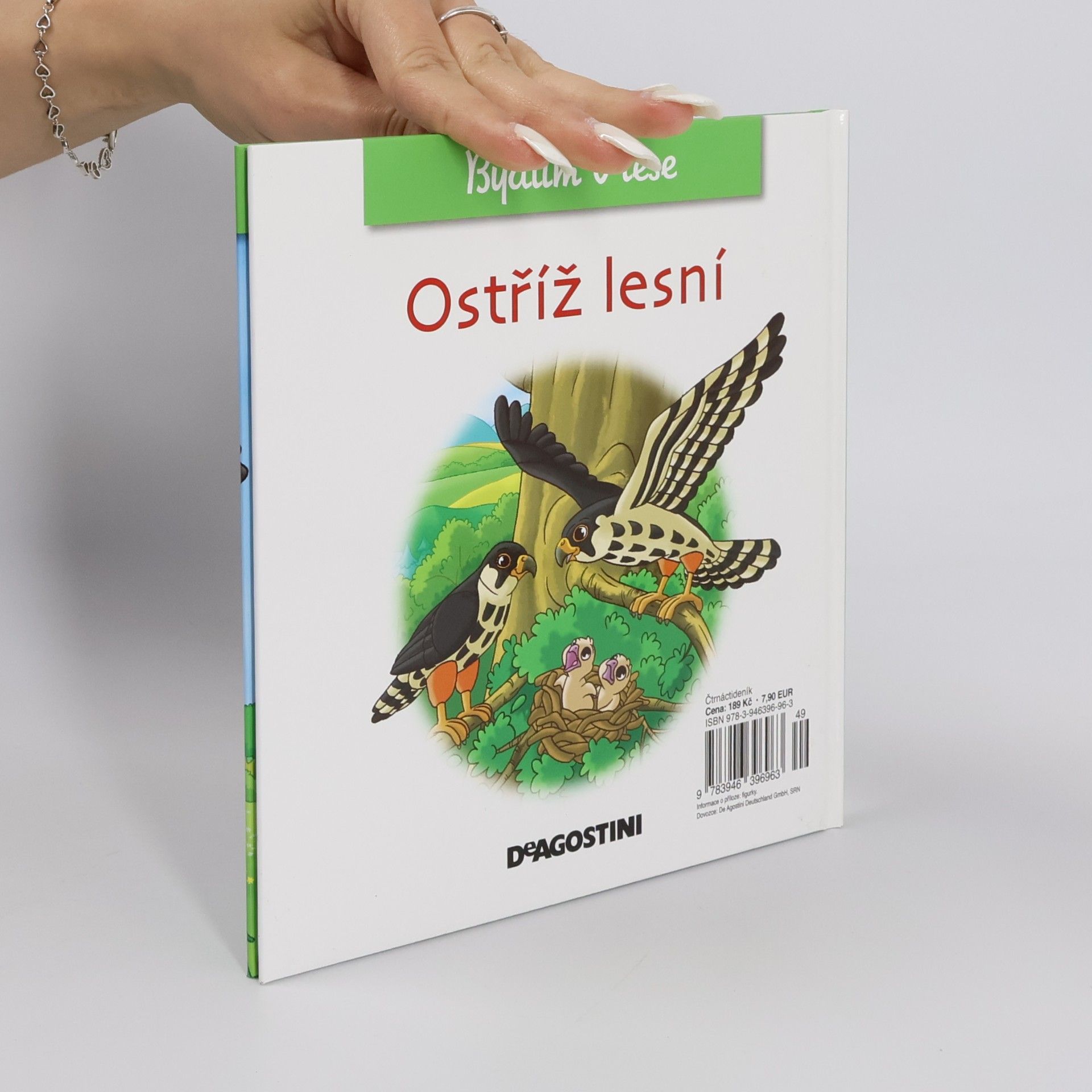Autorenkollektiv Bydlím v lese. Ostříž lesní. 34