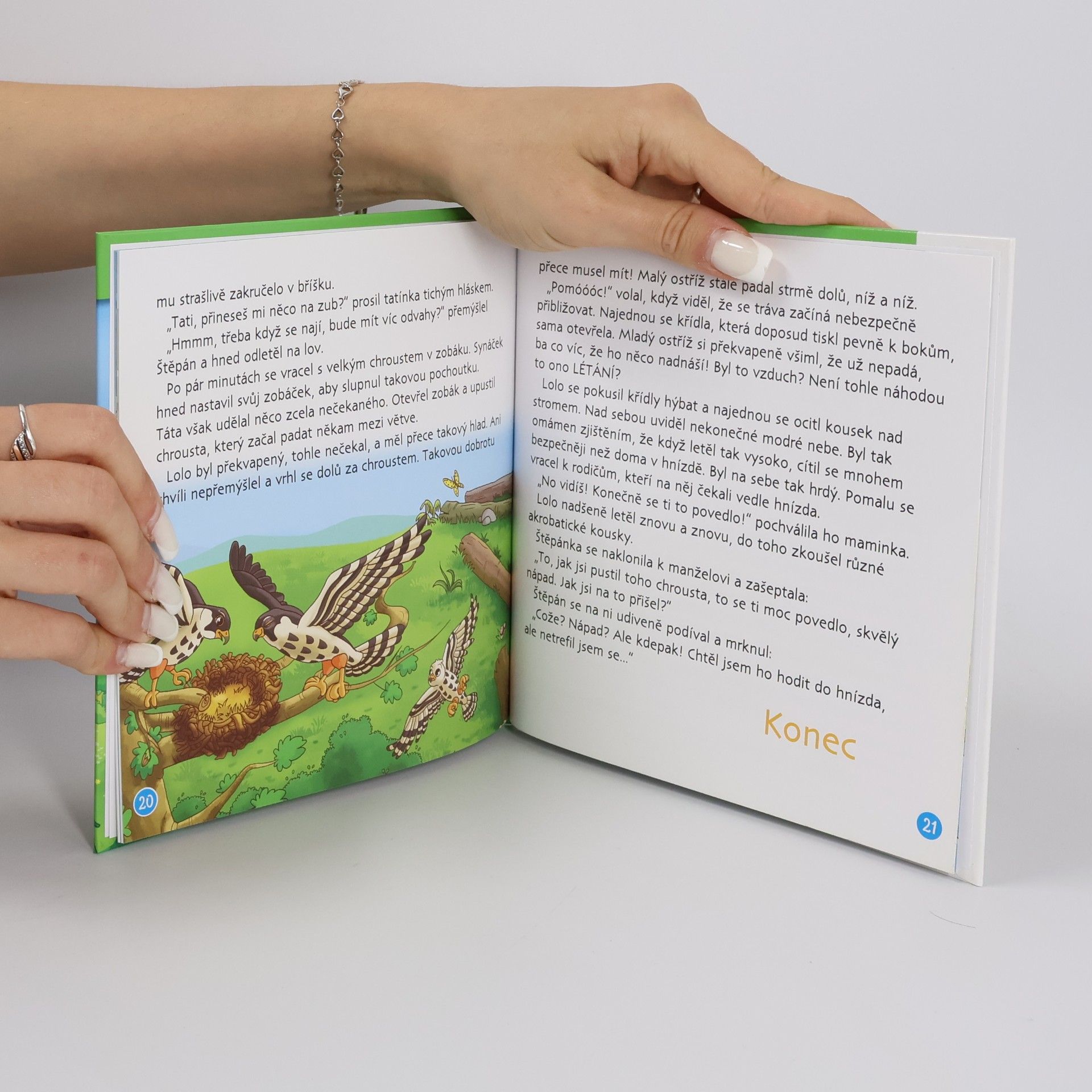 Autorenkollektiv Bydlím v lese. Ostříž lesní. 34