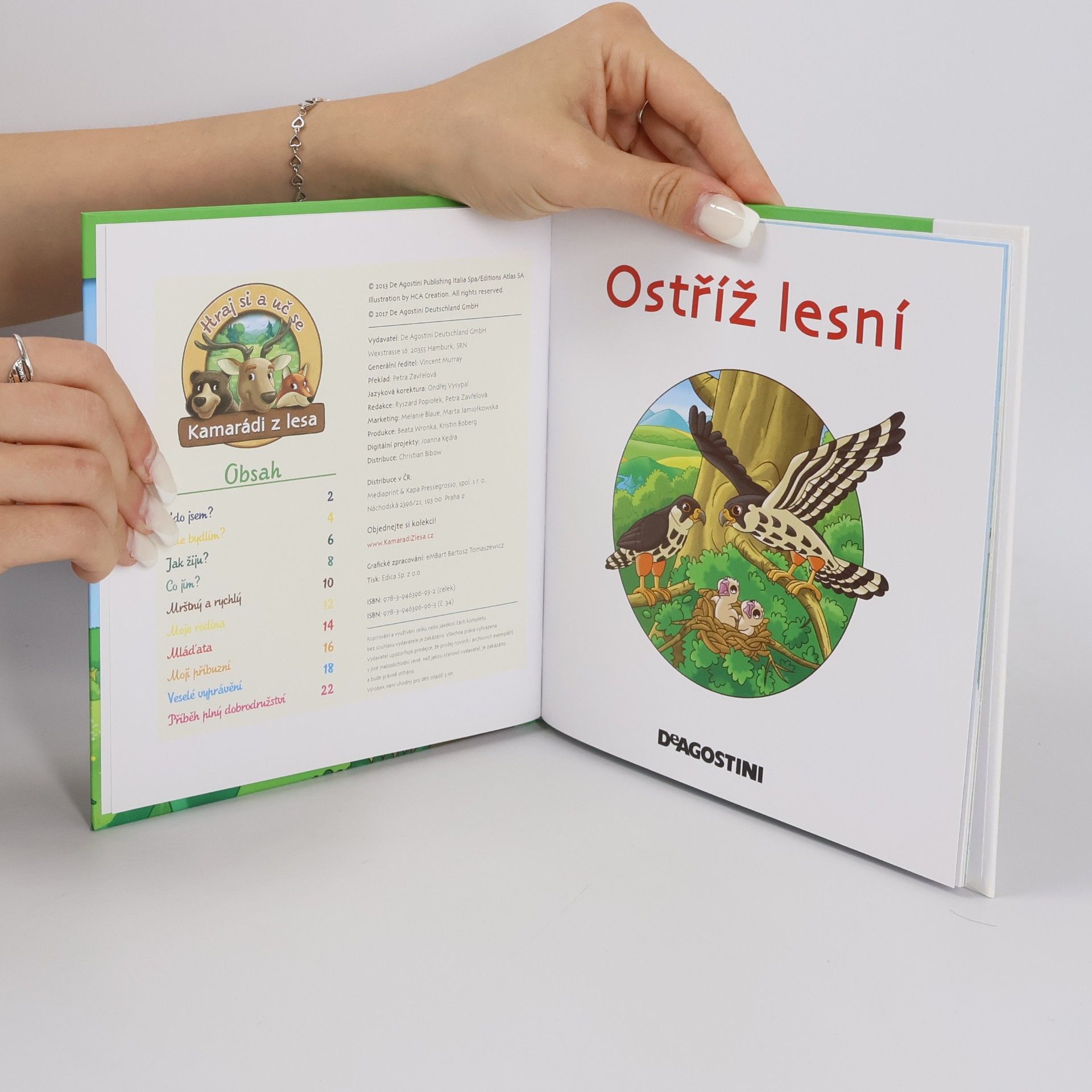 Autorenkollektiv Bydlím v lese. Ostříž lesní. 34